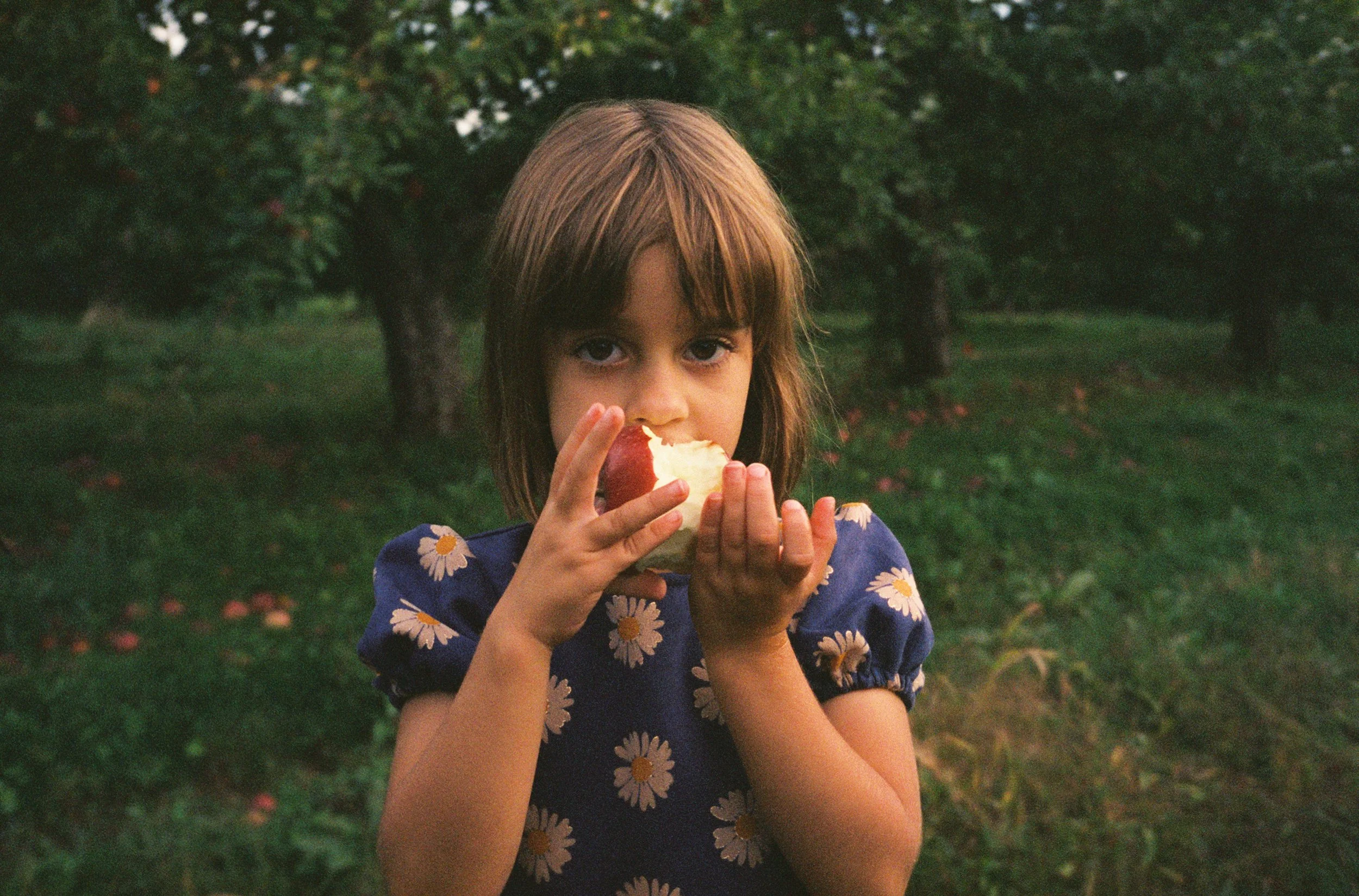maine-apple-orchard-family-photography-3.jpg