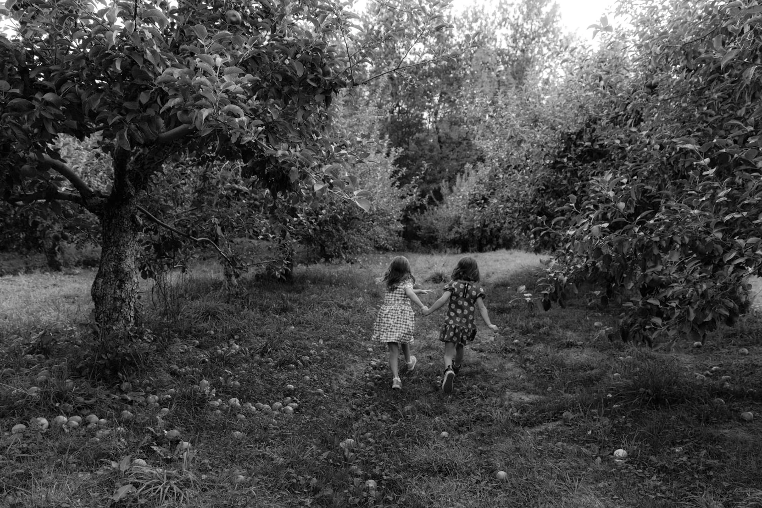 maine-apple-orchard-family-photography-6.jpg