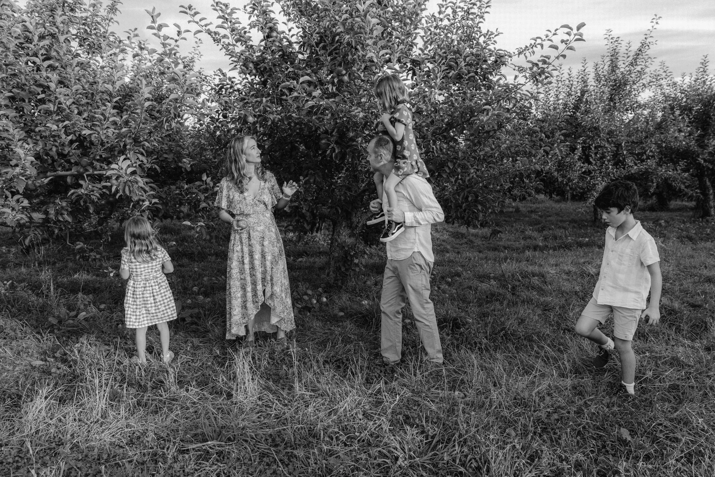 maine-apple-orchard-family-photography-7.jpg