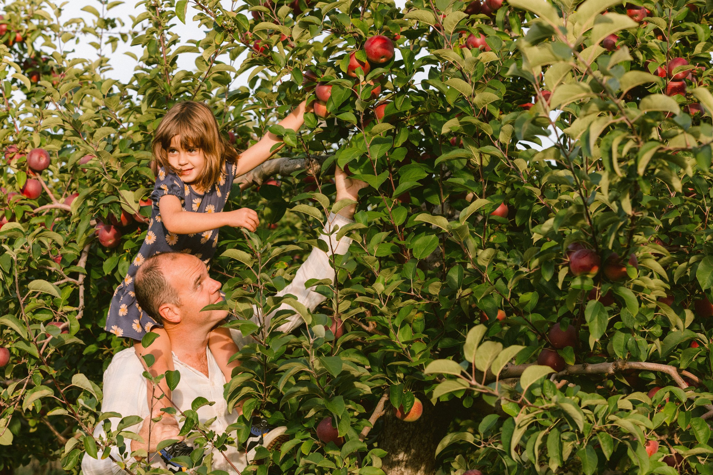 maine-apple-orchard-family-photography-9.jpg