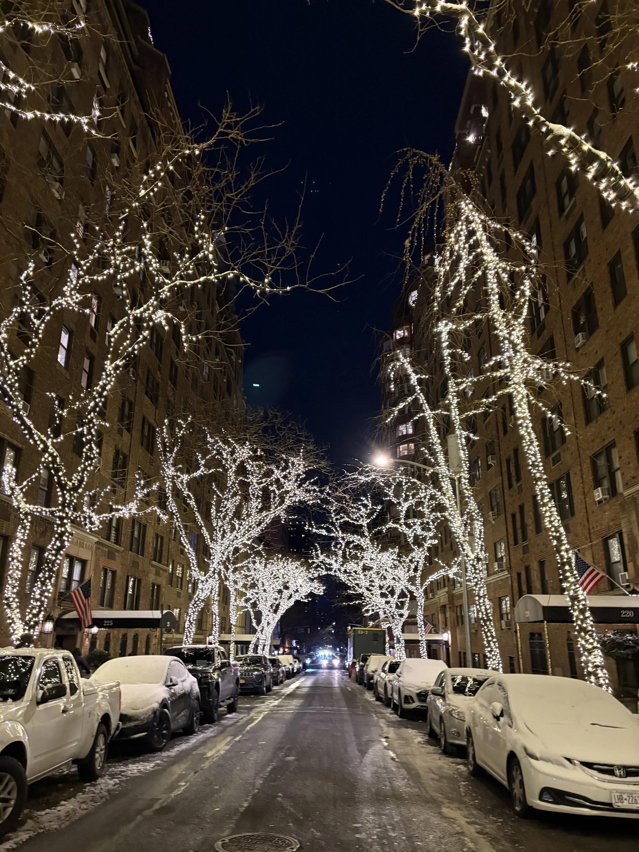 Scholar Newsletter: January 2026