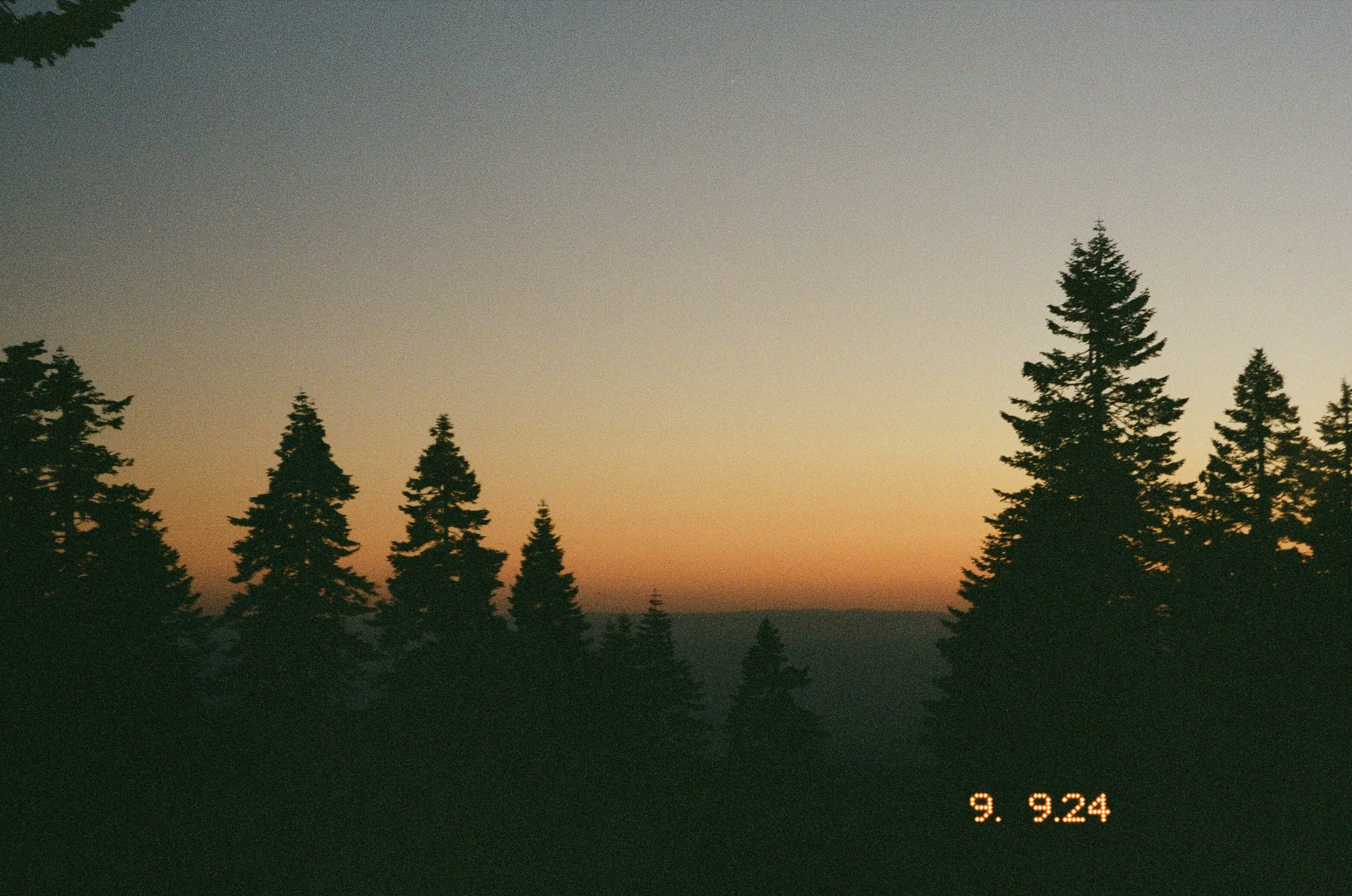 000058120005.jpg