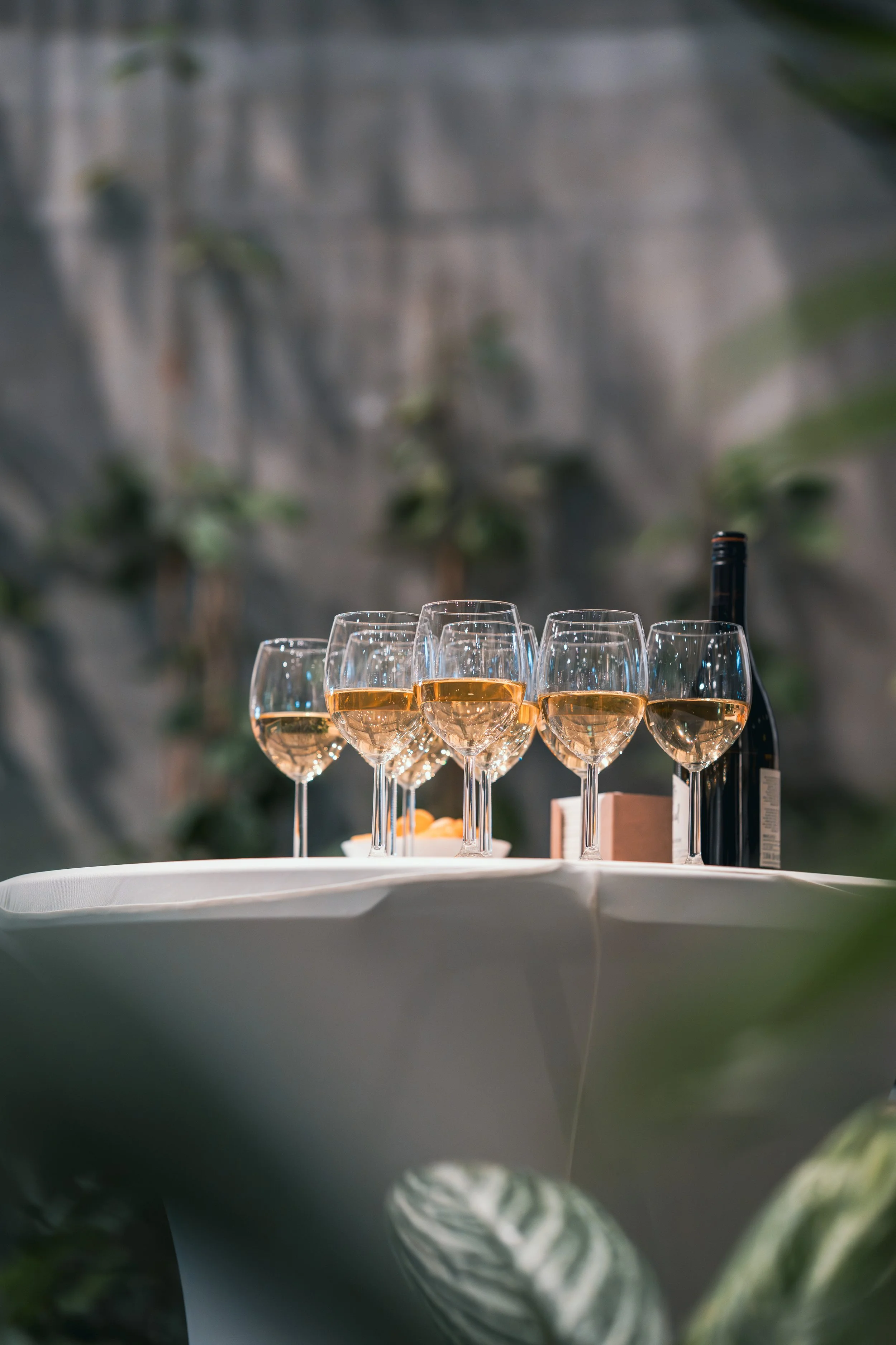 TWODAY KICK OFF (97 of 174).jpg