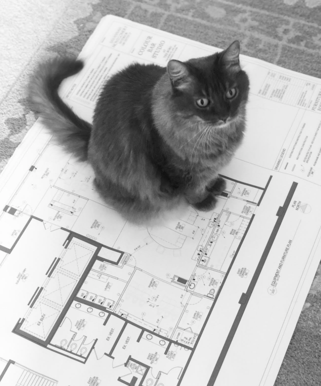 Builder and Contractor Collaboration