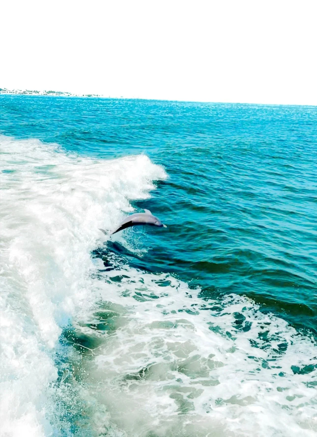 Consciousness Chiropractor