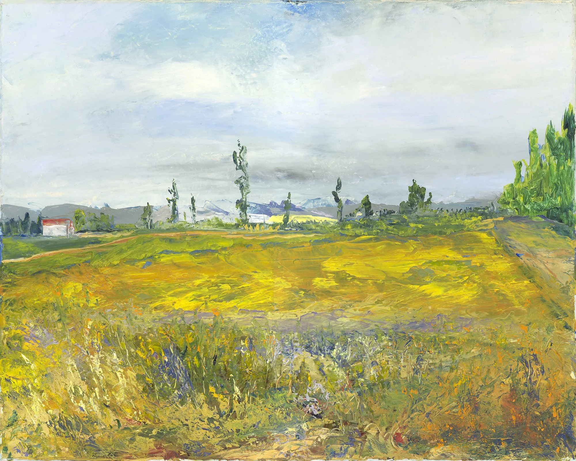 Vincents Garden 4x5Ratio 100dpi.jpg