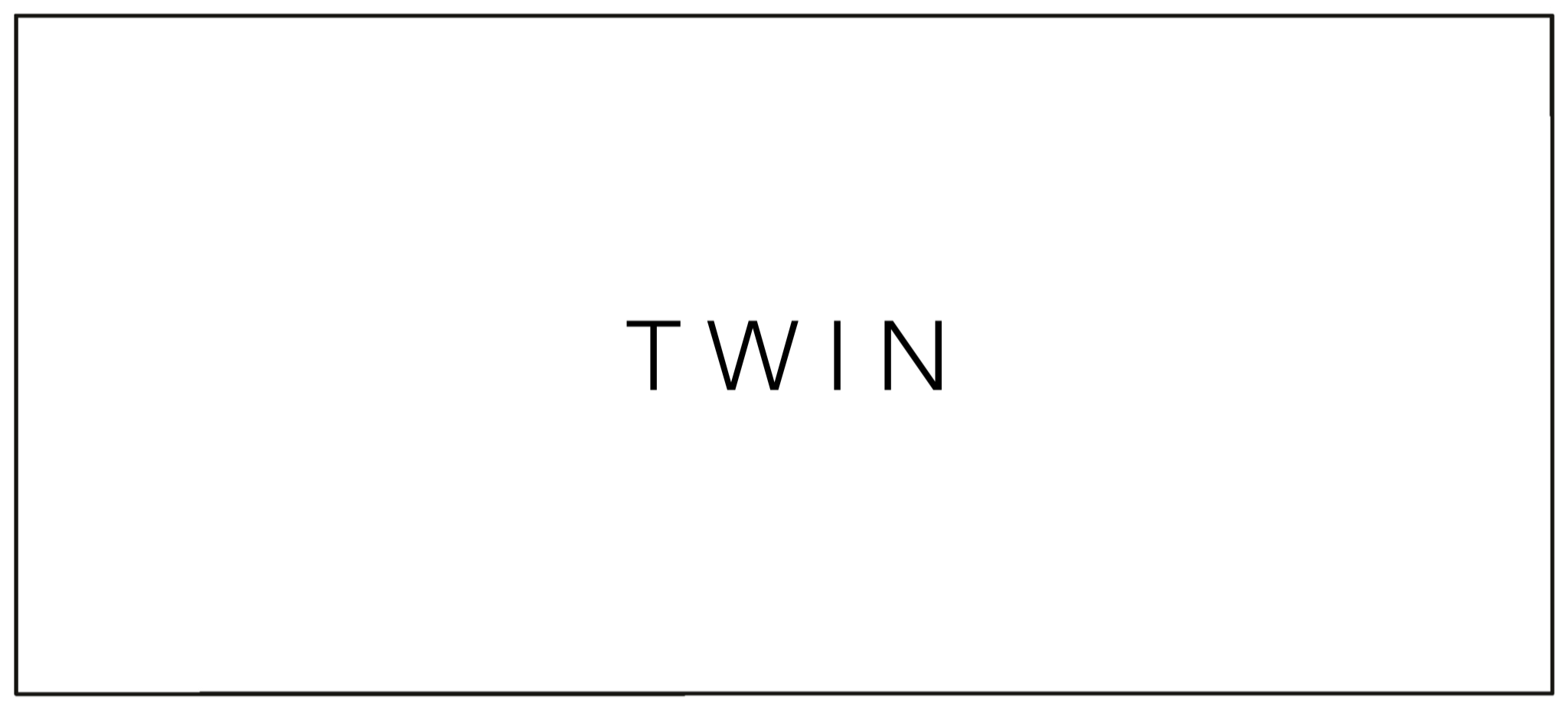 Text in the center reads 'TWIN' on a white background with a simple black border.