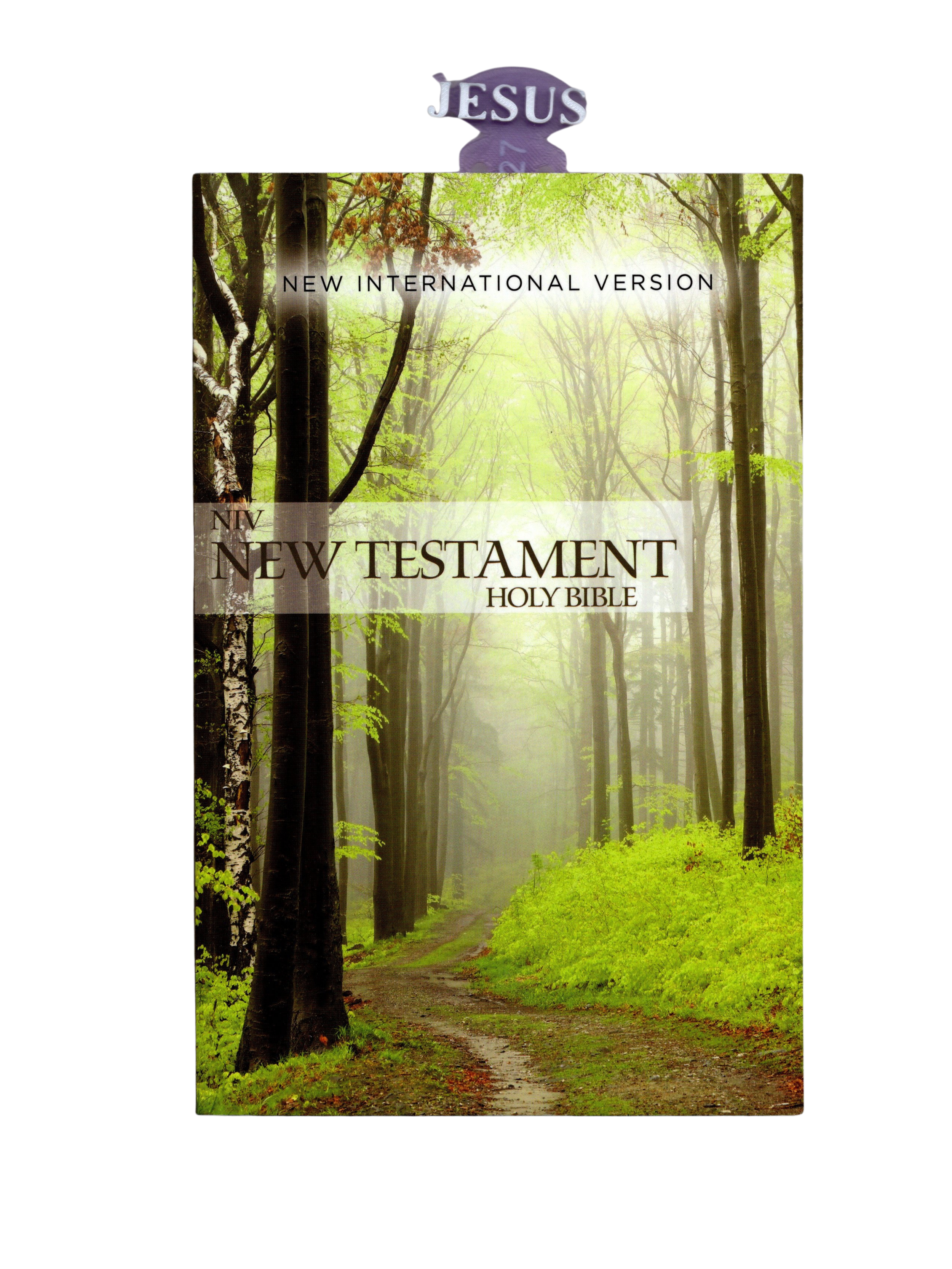 New Testament Bible - NIV 2K Final Final.png