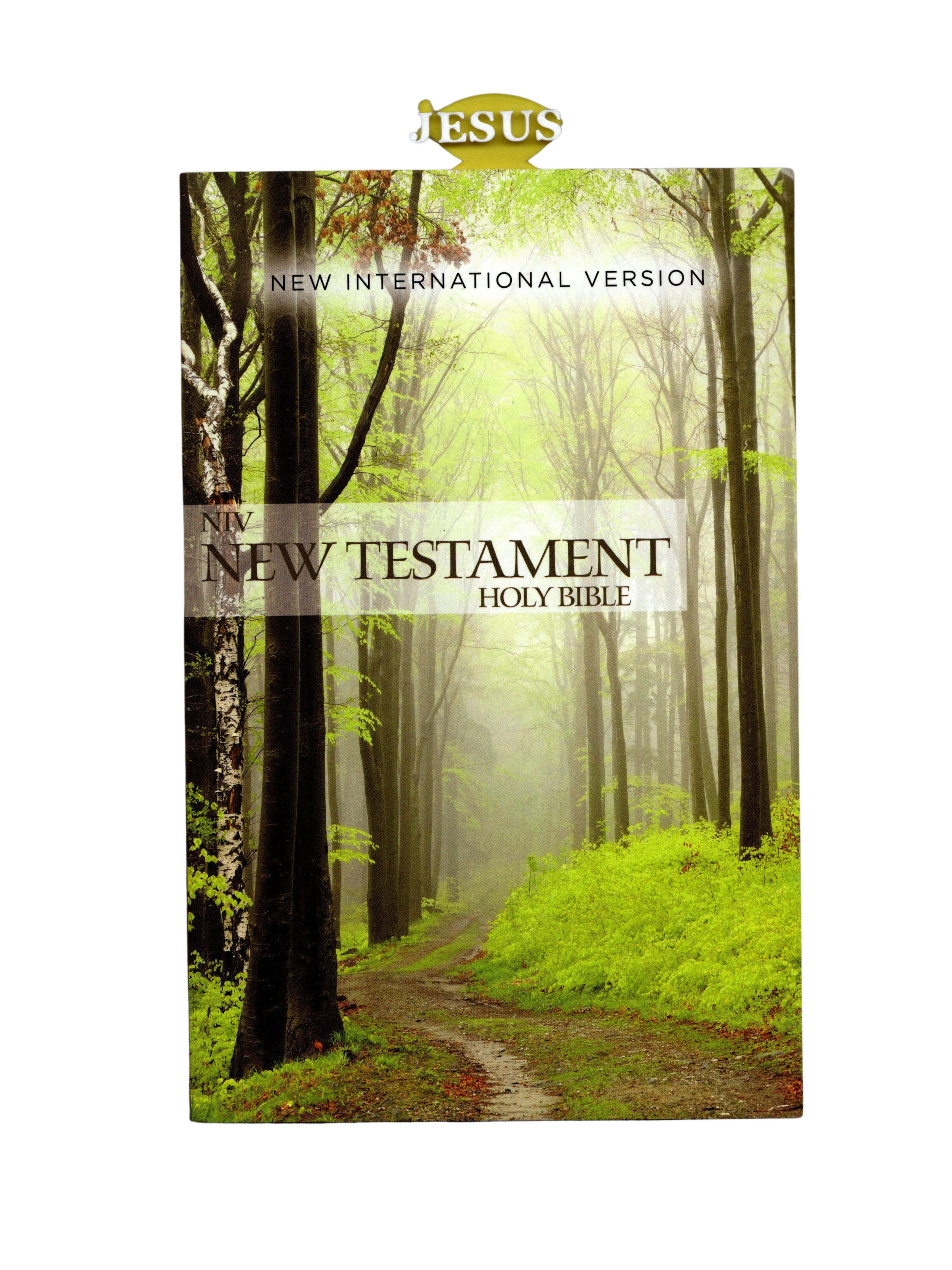 New Testament Bible - NIV 2K Final.png