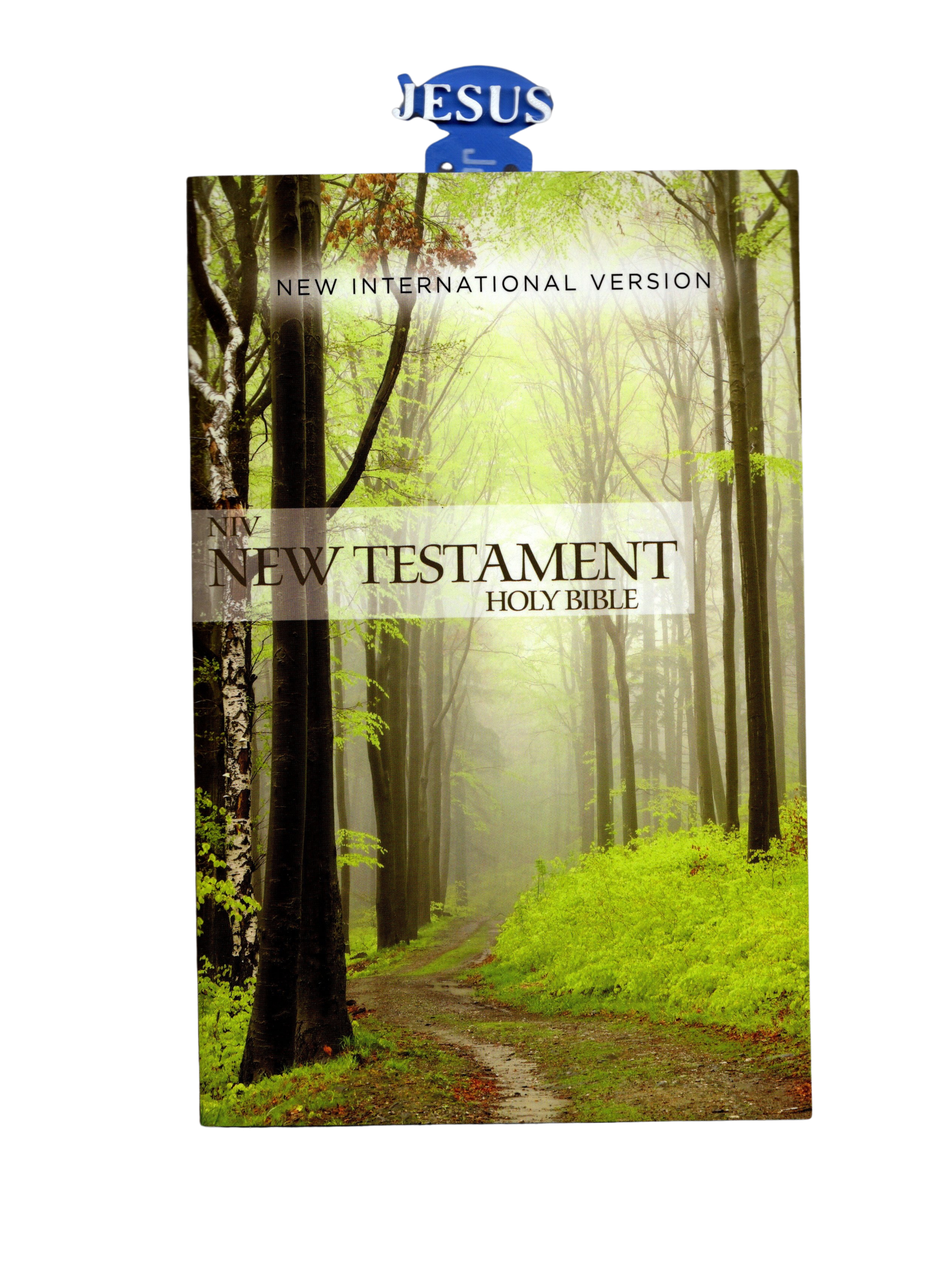 New Testament Bible - NIV 2K Final (4).png