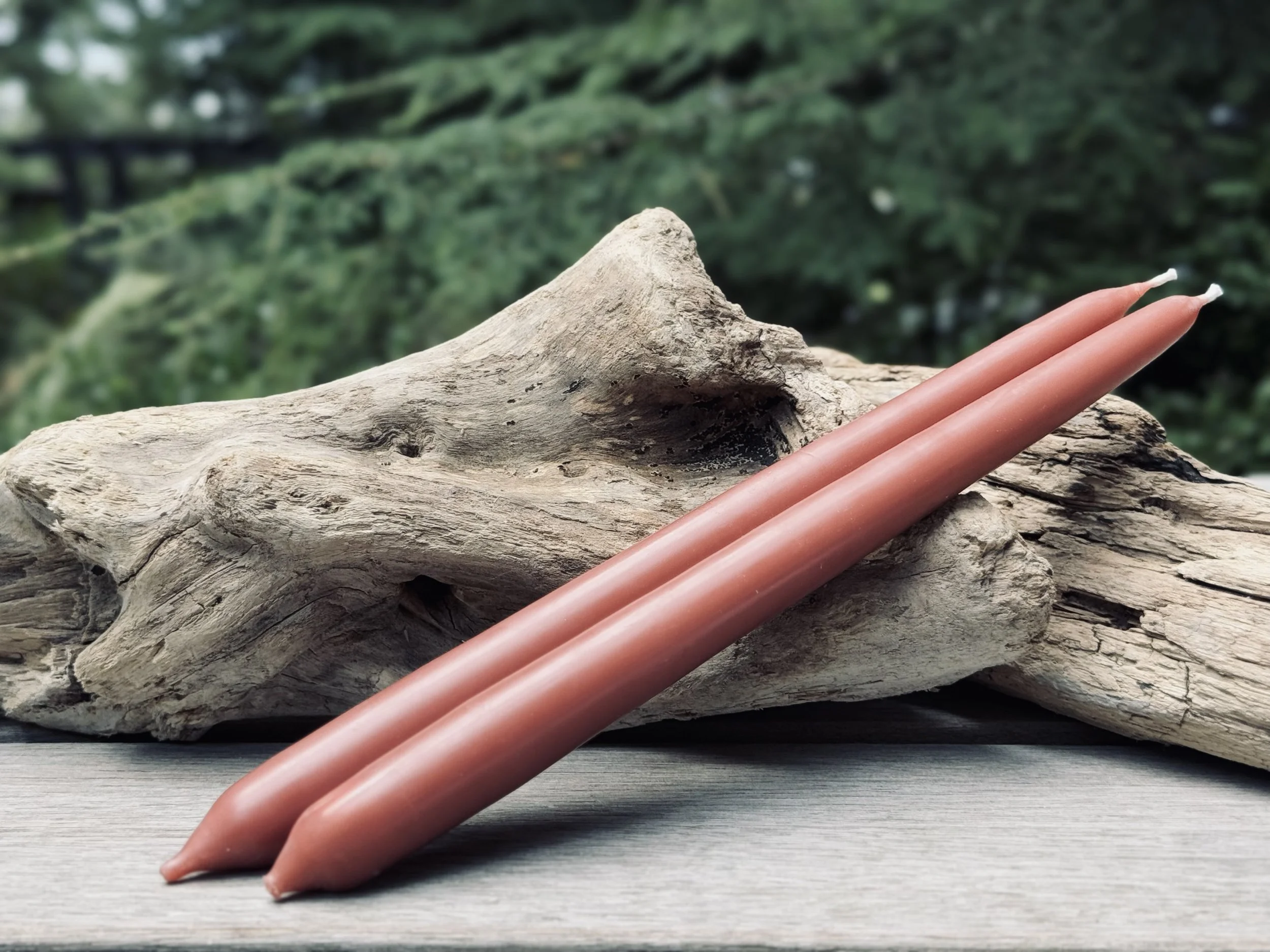 Taper Copper Rose.jpeg