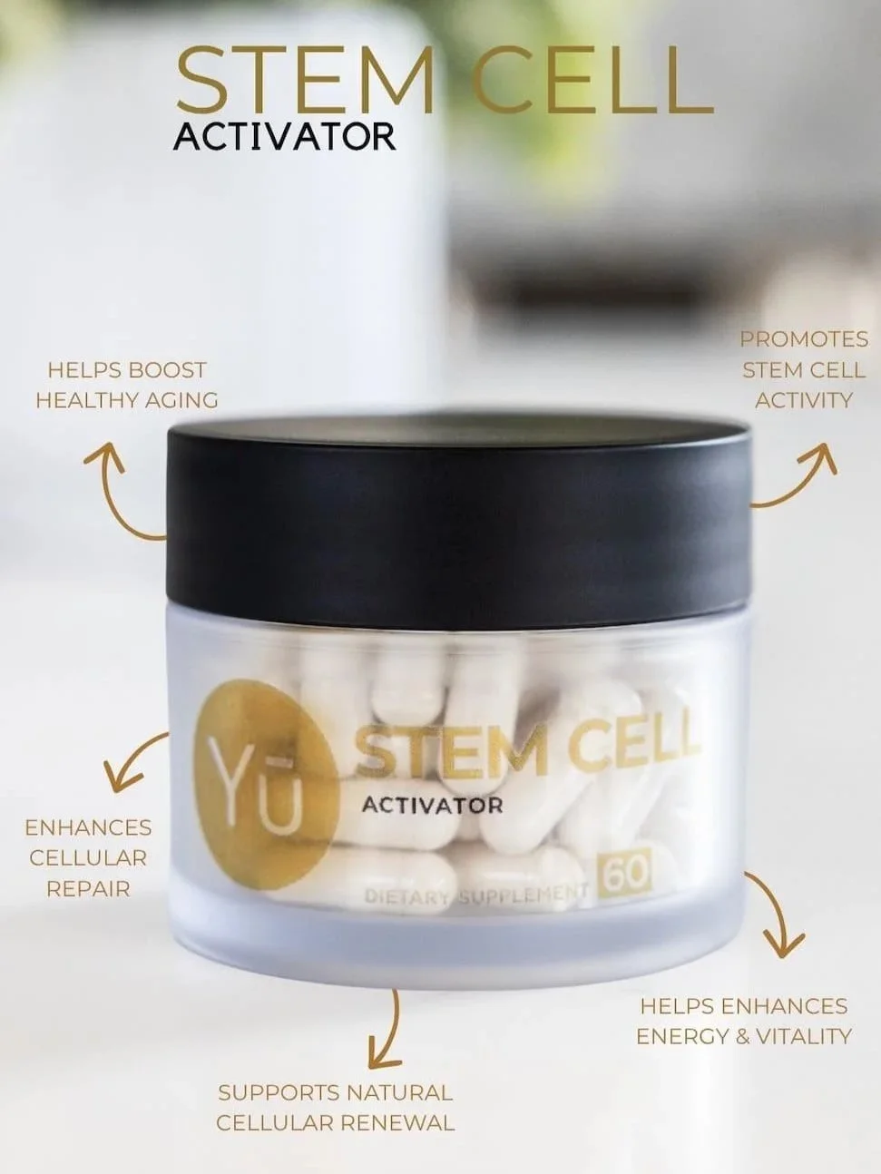 Benefits of Stem Cell Supplements