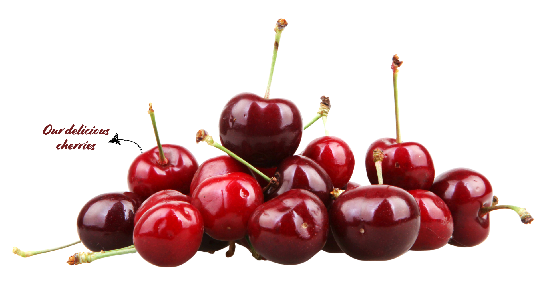 A group of fresh, ripe cherries with glossy red skin, some with stems attached, piled together on a white background.