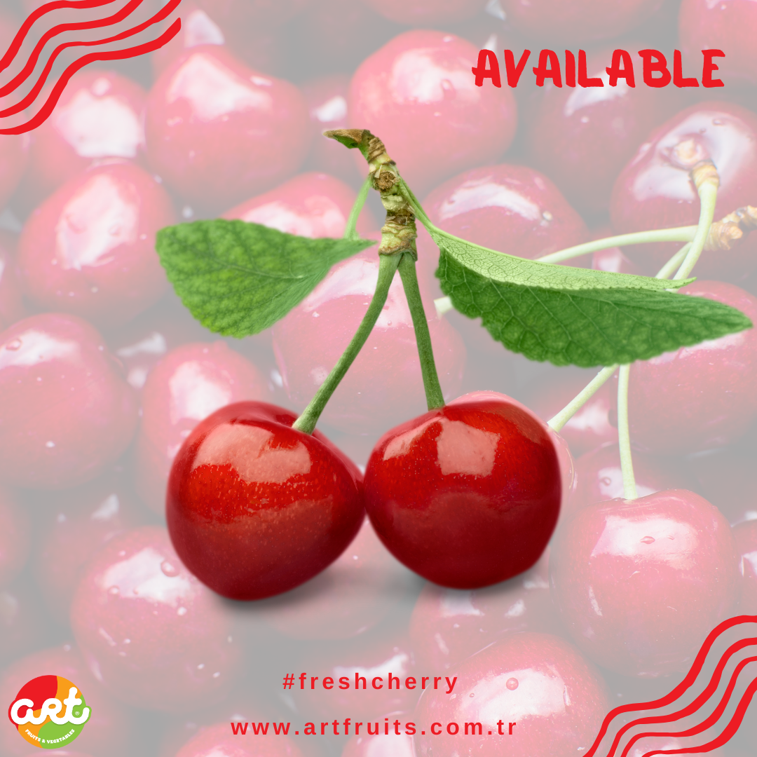 Art Fruits Cherry Social 1.png