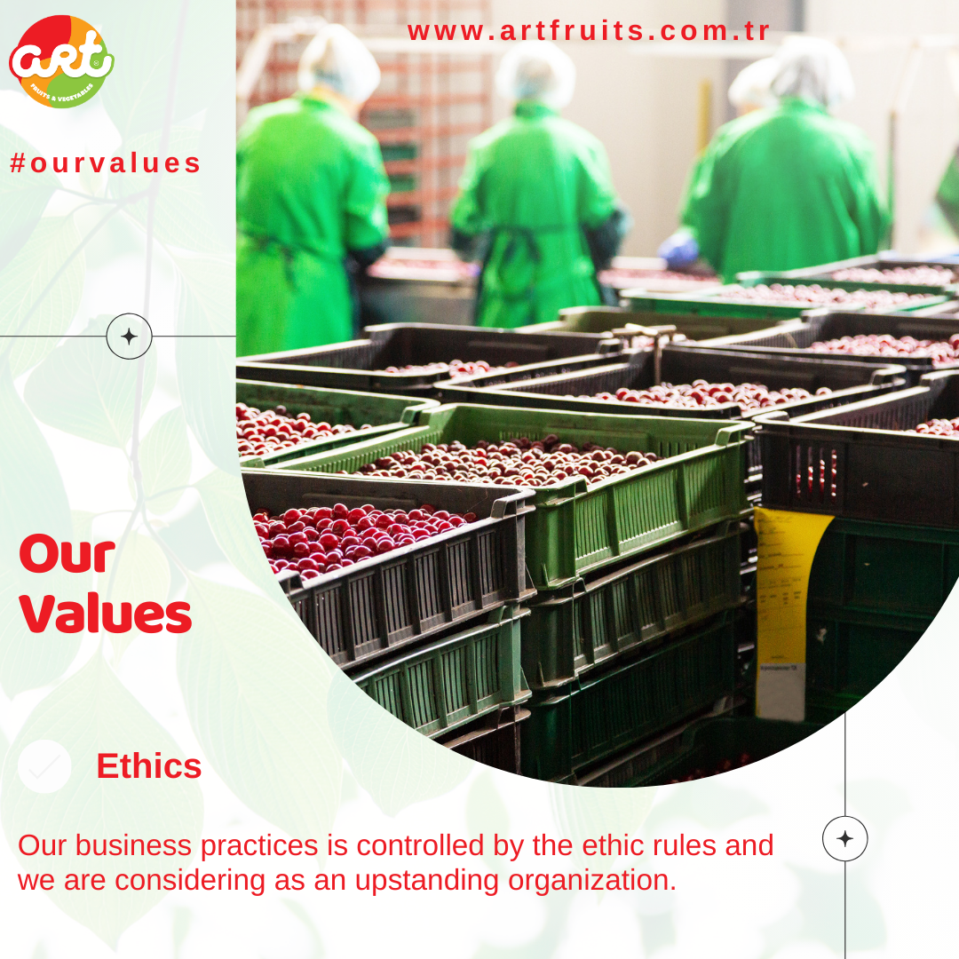 Art Fruits Cherry Social 3.png