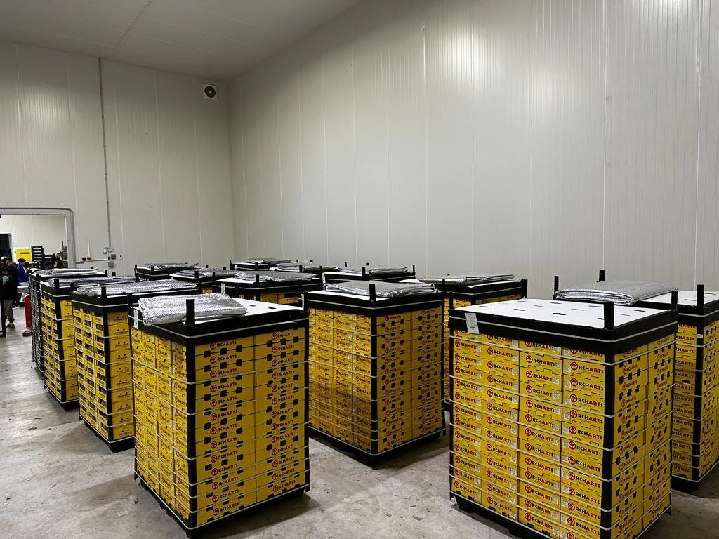 Warehouse with yellow boxes stacked on black pallets, possibly in storage or shipping area.