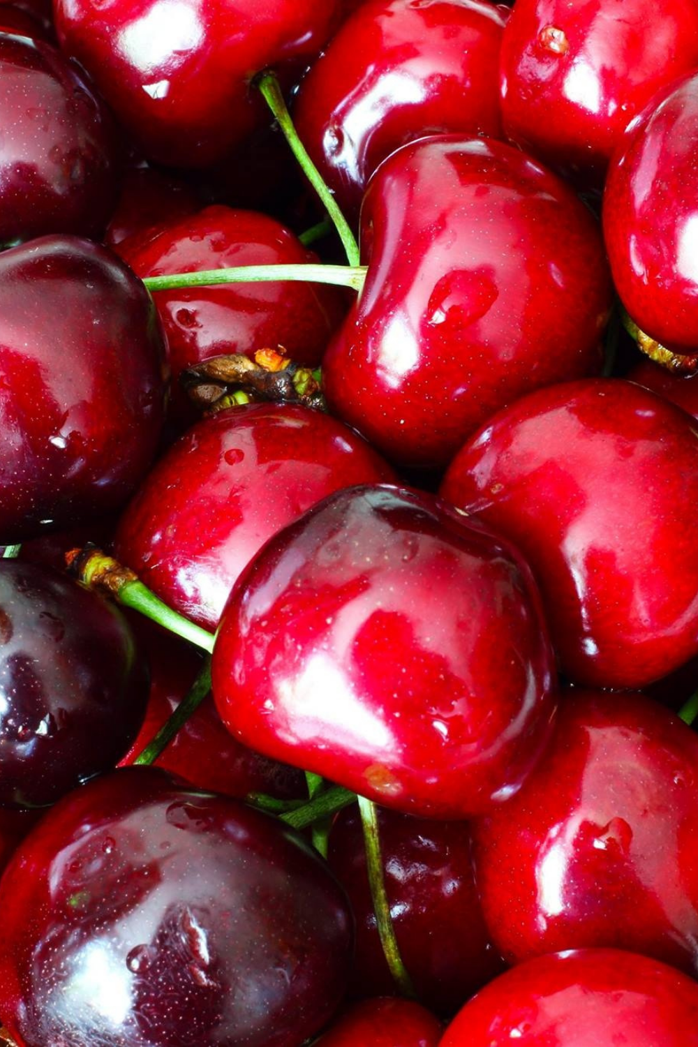 Fresh Cherry
