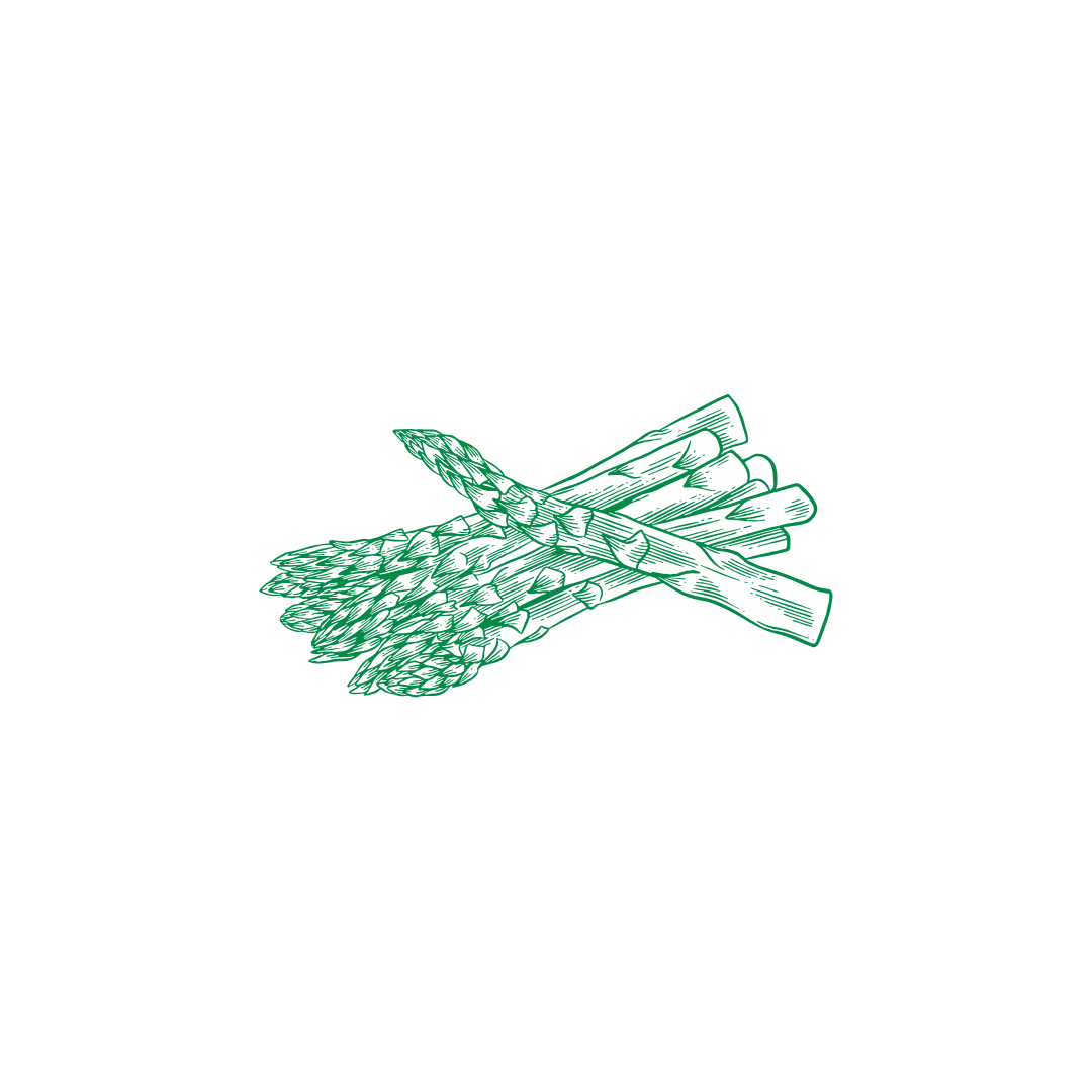 A green line drawing of a bunch of fresh asparagus spears.