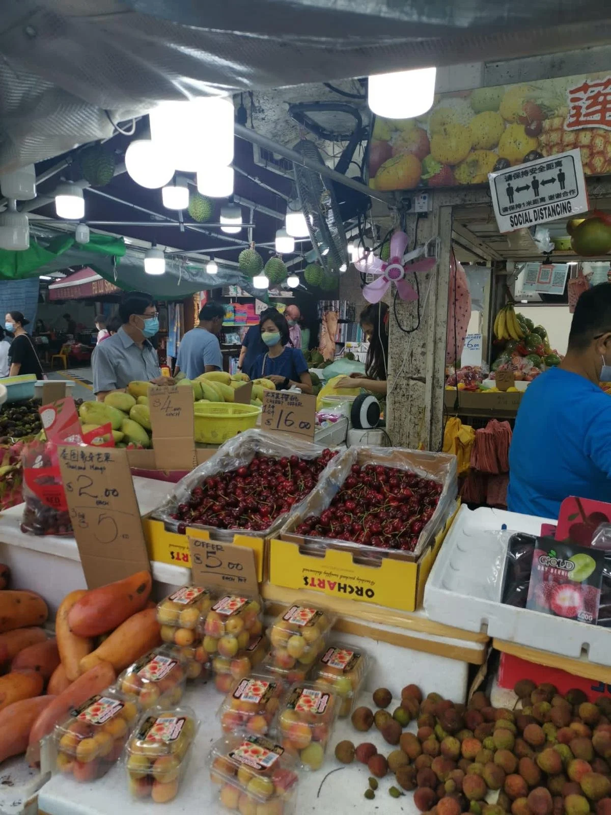 WhatsApp Image 2024-06-11 at 10.43.00.jpeg