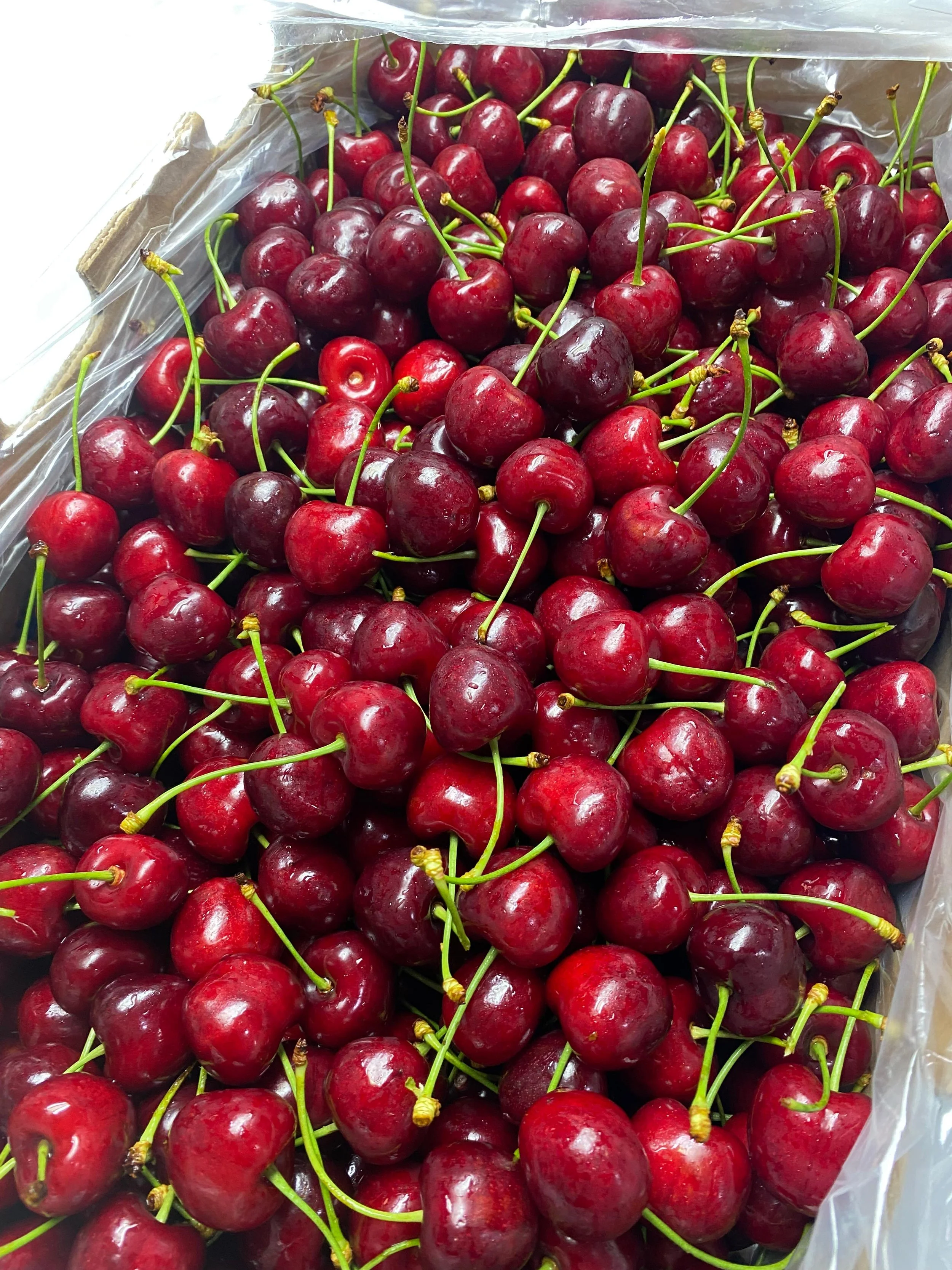 WhatsApp Image 2024-06-10 at 18.22.25.jpeg