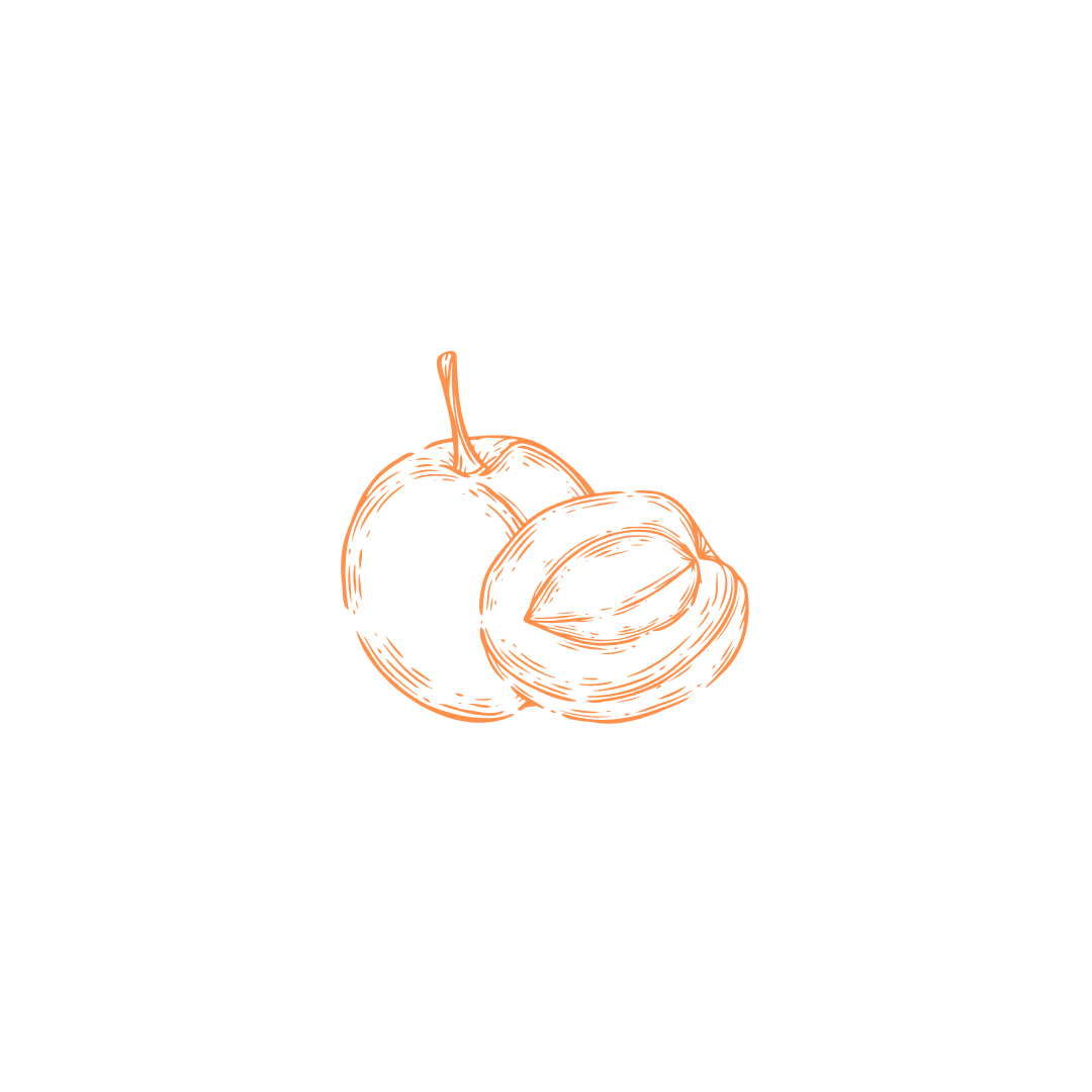 Sketch of a cherry and a cherry half with visible seed.