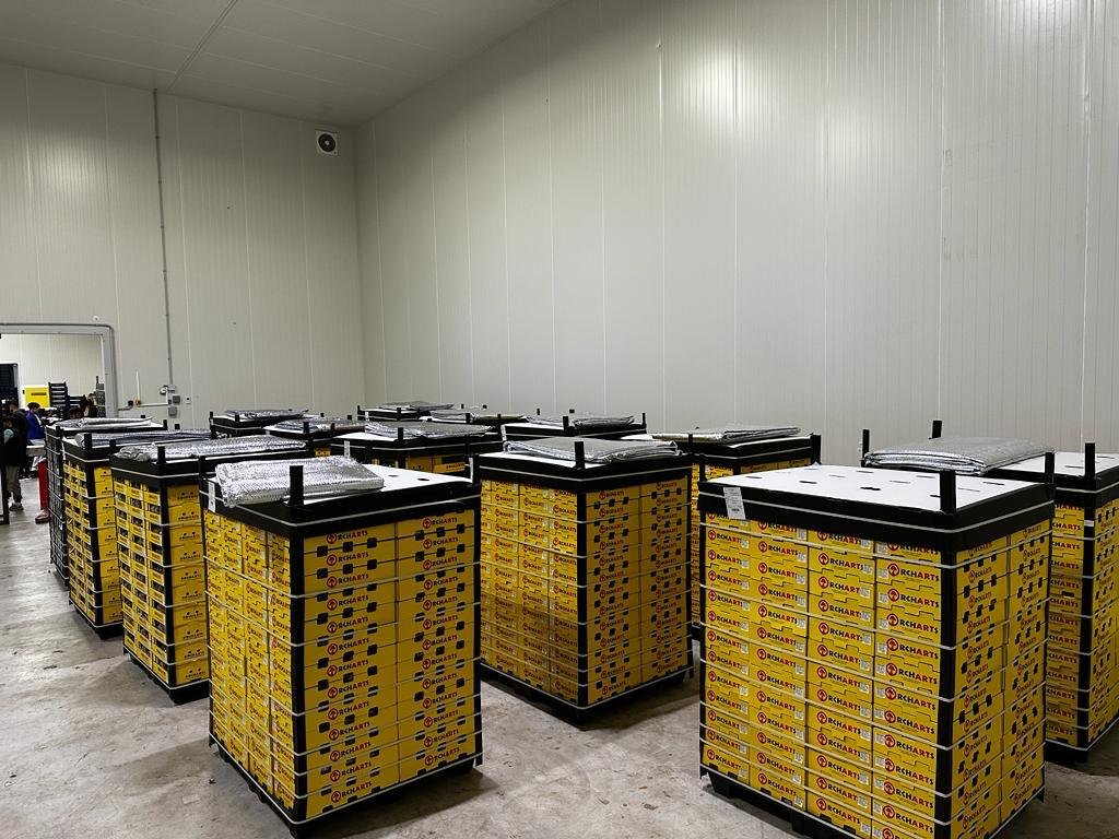 WhatsApp Image 2024-06-11 at 10.41.43.jpeg