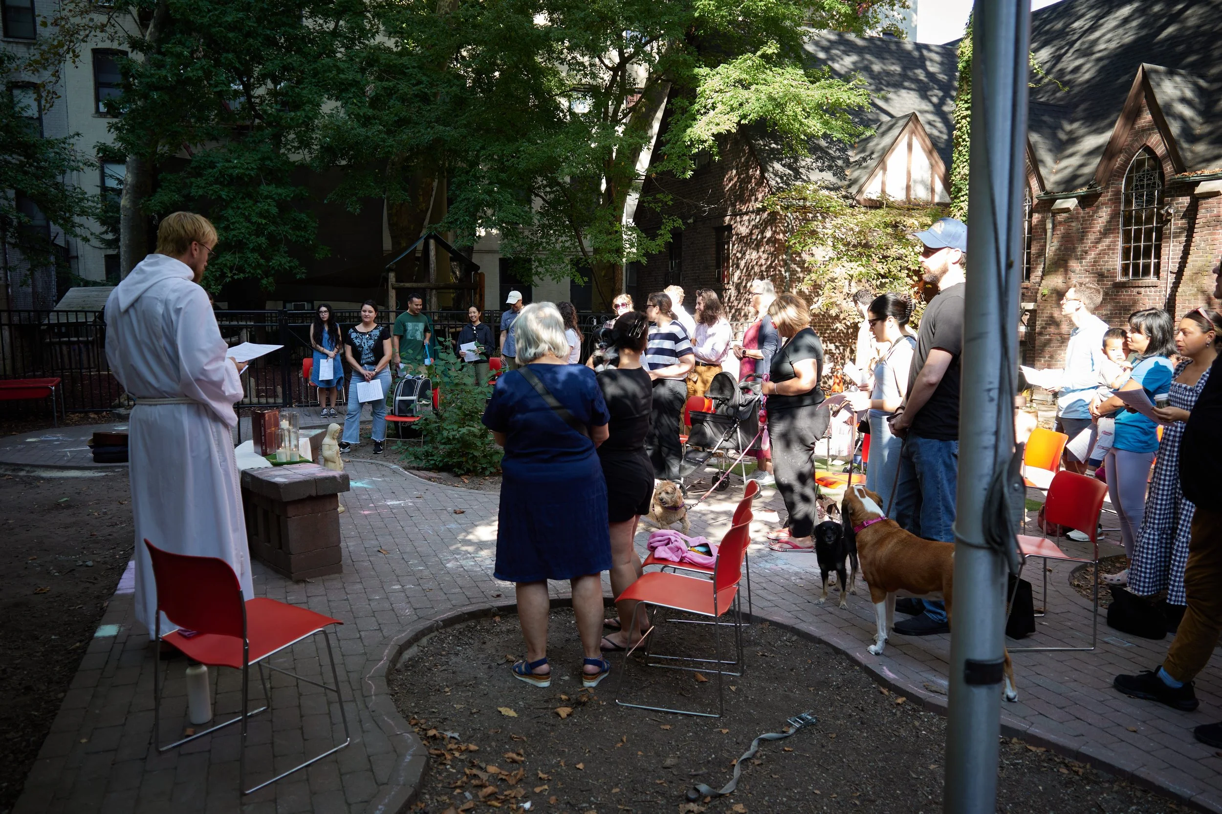 “But ask the animals, and they will teach you…”