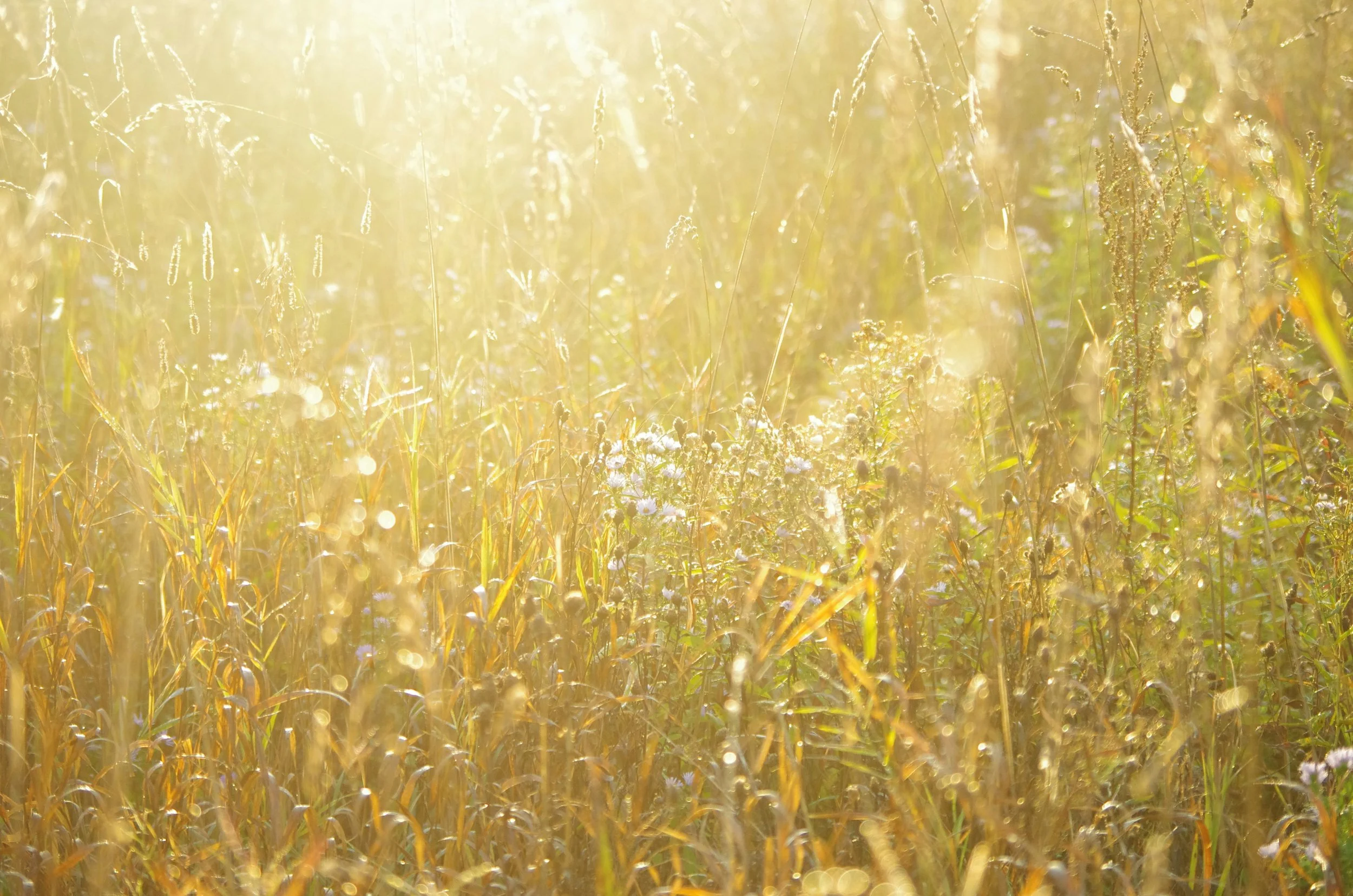 Hayfever season has started early this year  