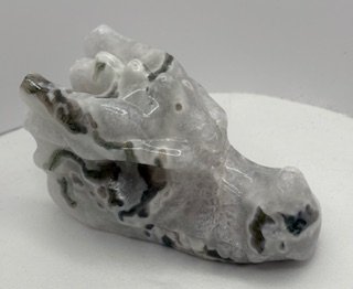 image1.jpeg