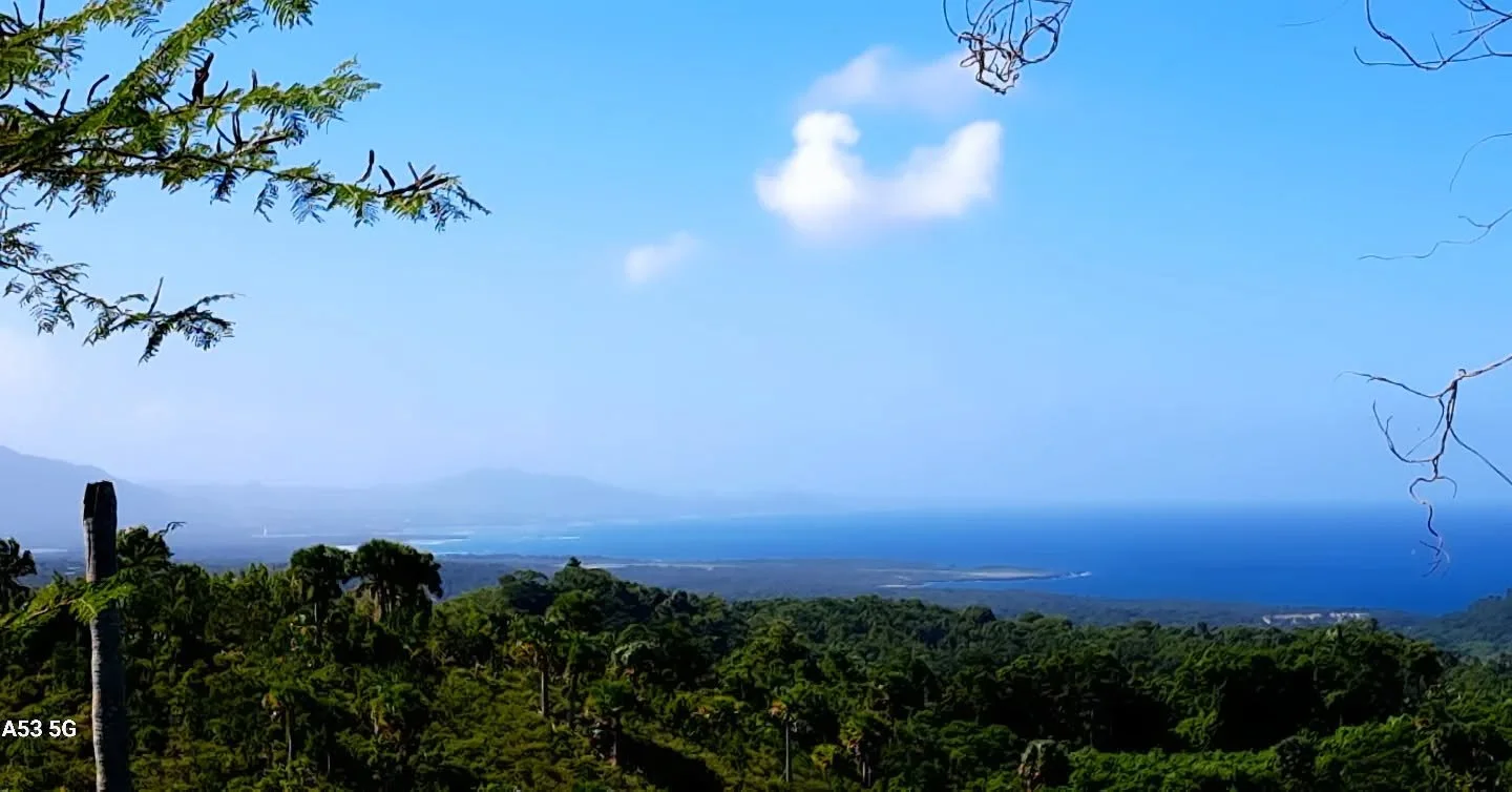 Immerse yourself in the luxury of living between the ocean and the mountains. 

4500m2 of pure natural beauty waiting for you. 

Sum&eacute;rgete en el lujo de vivir entre el oc&eacute;ano y las monta&ntilde;as. 
4500m2 de pura belleza natural espera