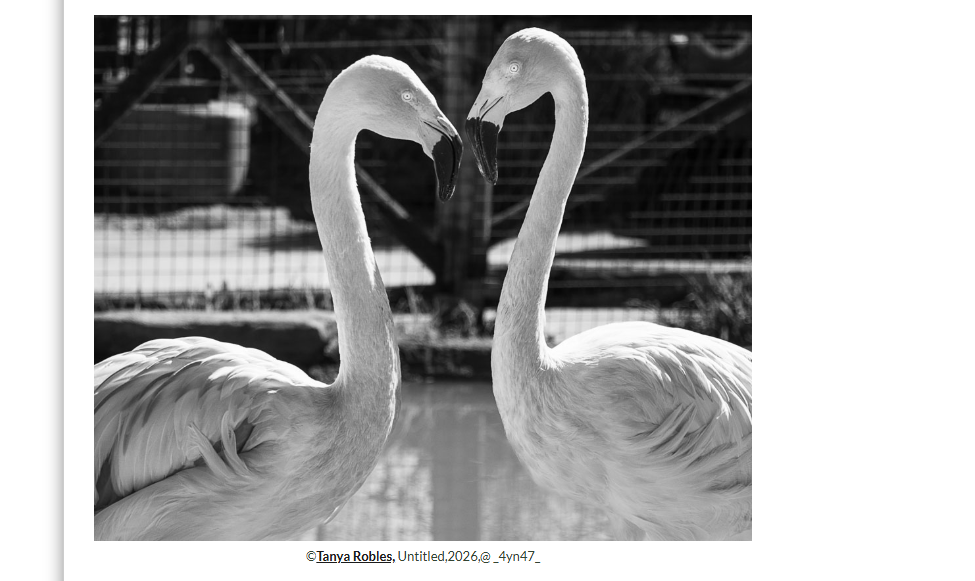 Screenshot 2026-02-14 201041.png