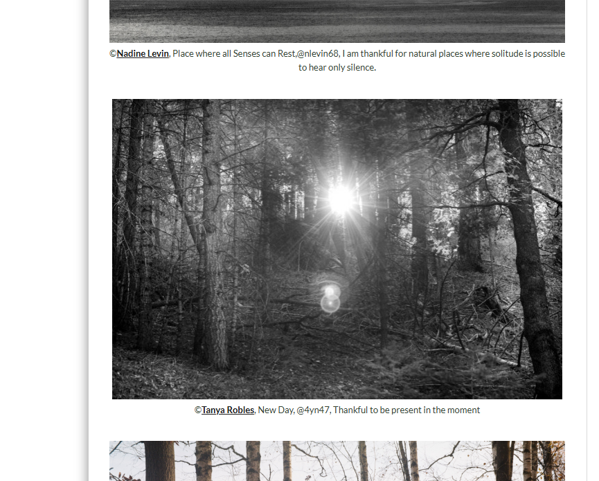 Screenshot 2025-11-29 183420.png