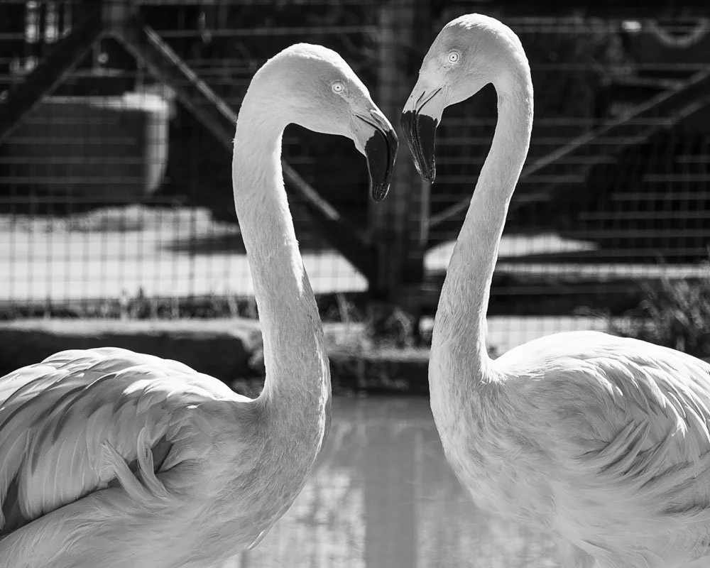 ©Tanya Robles, Untitled,@ _4yn47_, tanyarobles.com (2).jpg