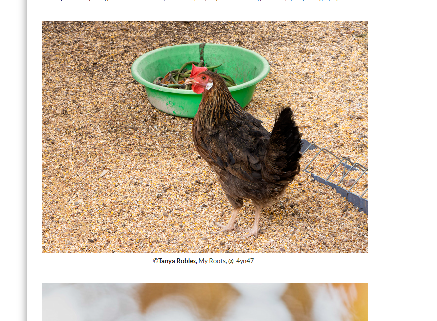 Screenshot 2026-01-03 192303.png