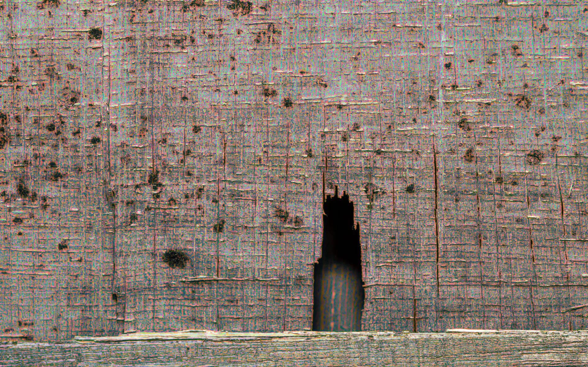 _MG_7941 copy.jpg