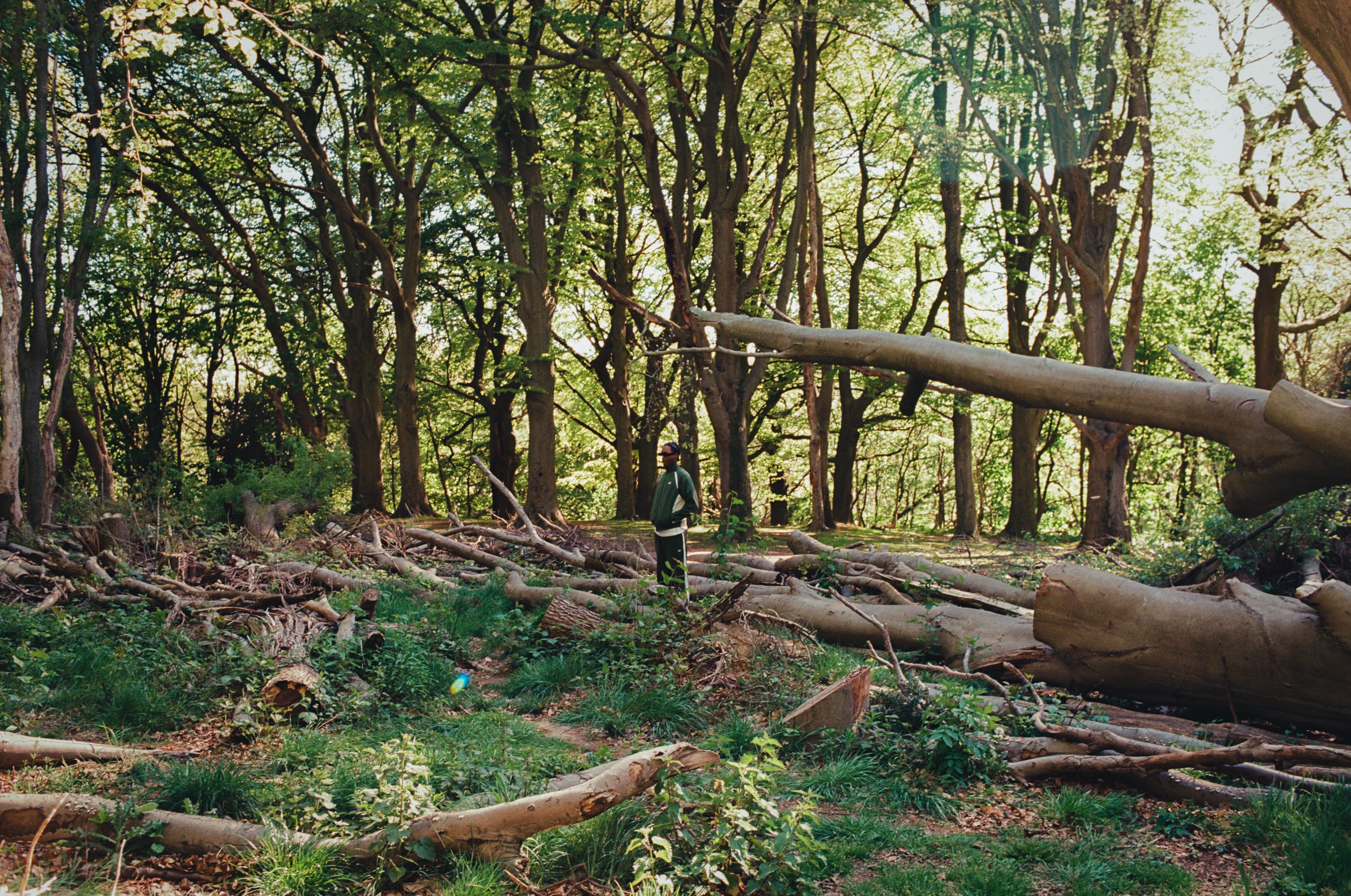 HURRICANE-8.jpg