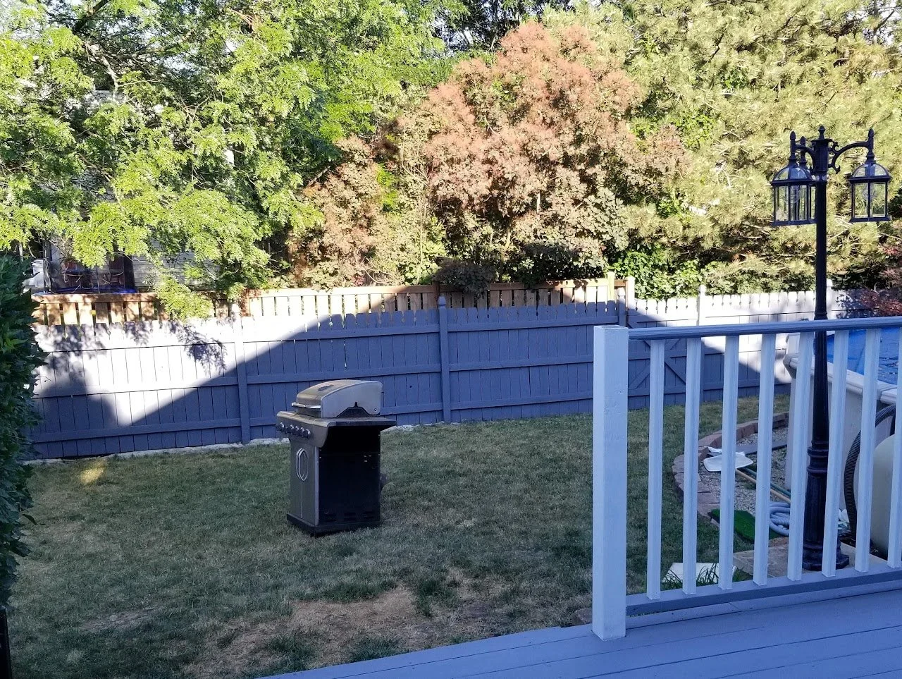 The Stunning After: A Weathered Fence Restored to an Oasis with Solid Stain