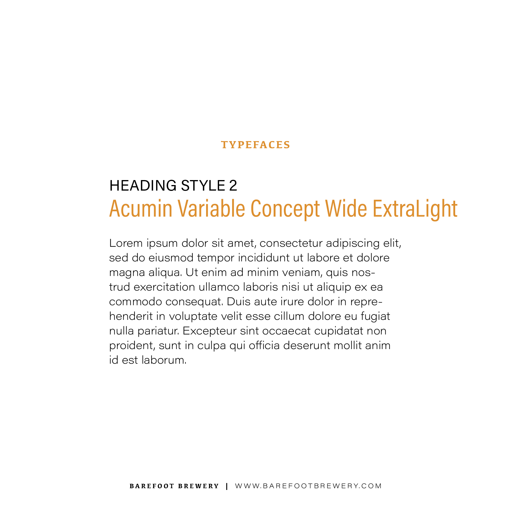Brand Guide9.png