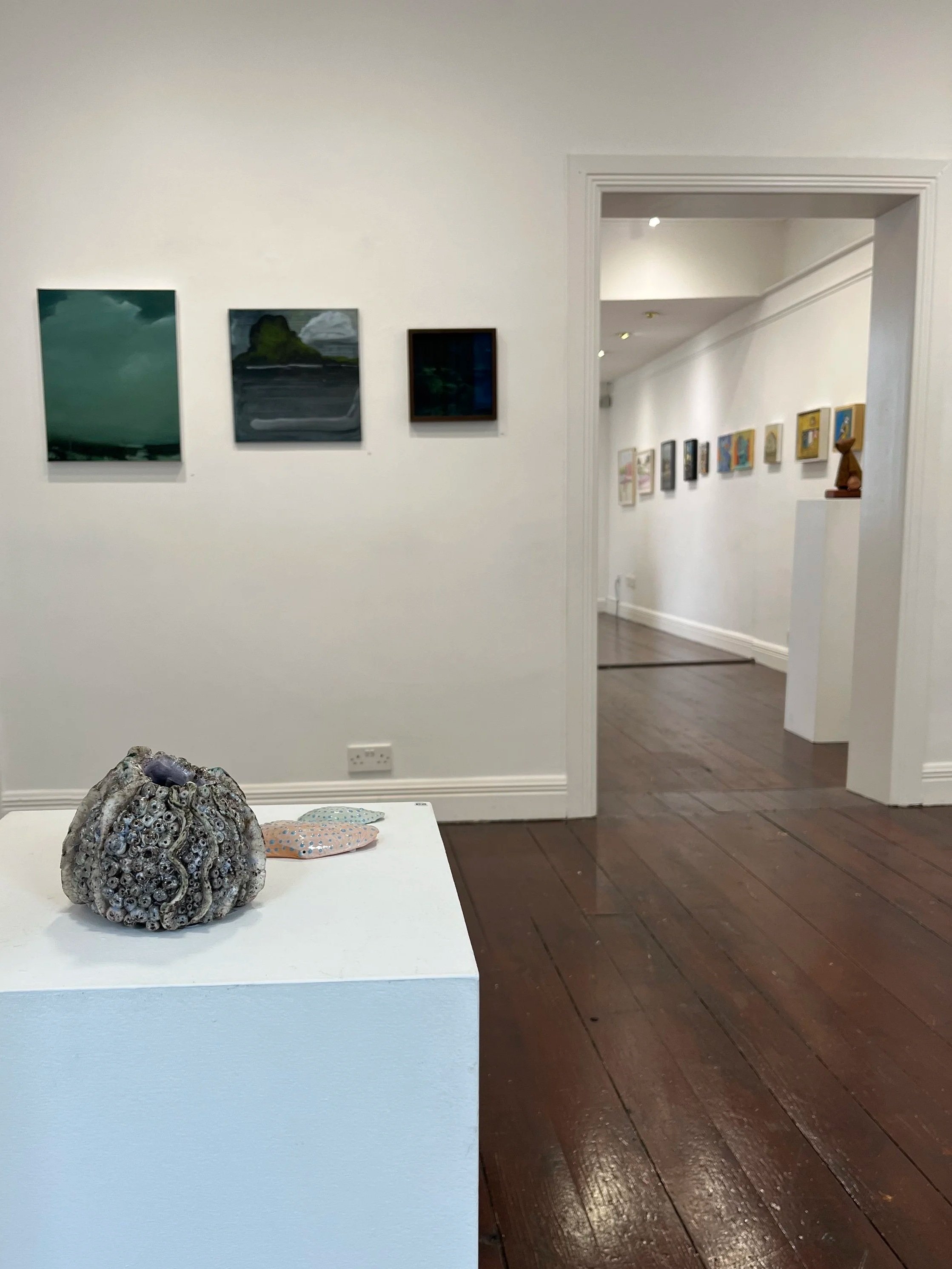 Installation shot, Cuaille mara & Sliogáin mhara at the Hamilton Gallery, Cairde Visual Exhibition 2026 