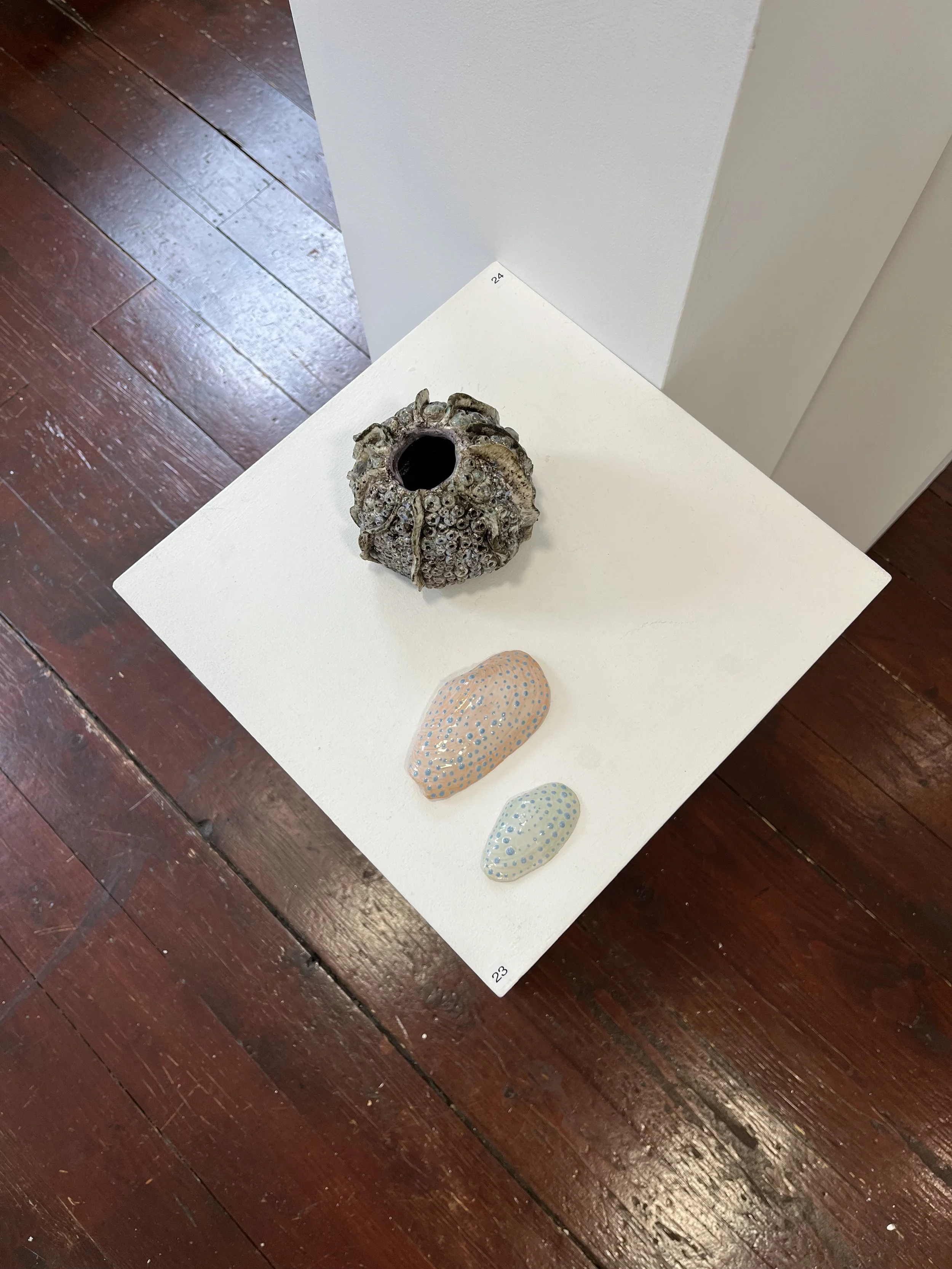 Installation shot, Cuaille mara & Sliogáin mhara at the Hamilton Gallery, Cairde Visual Exhibition 2026 