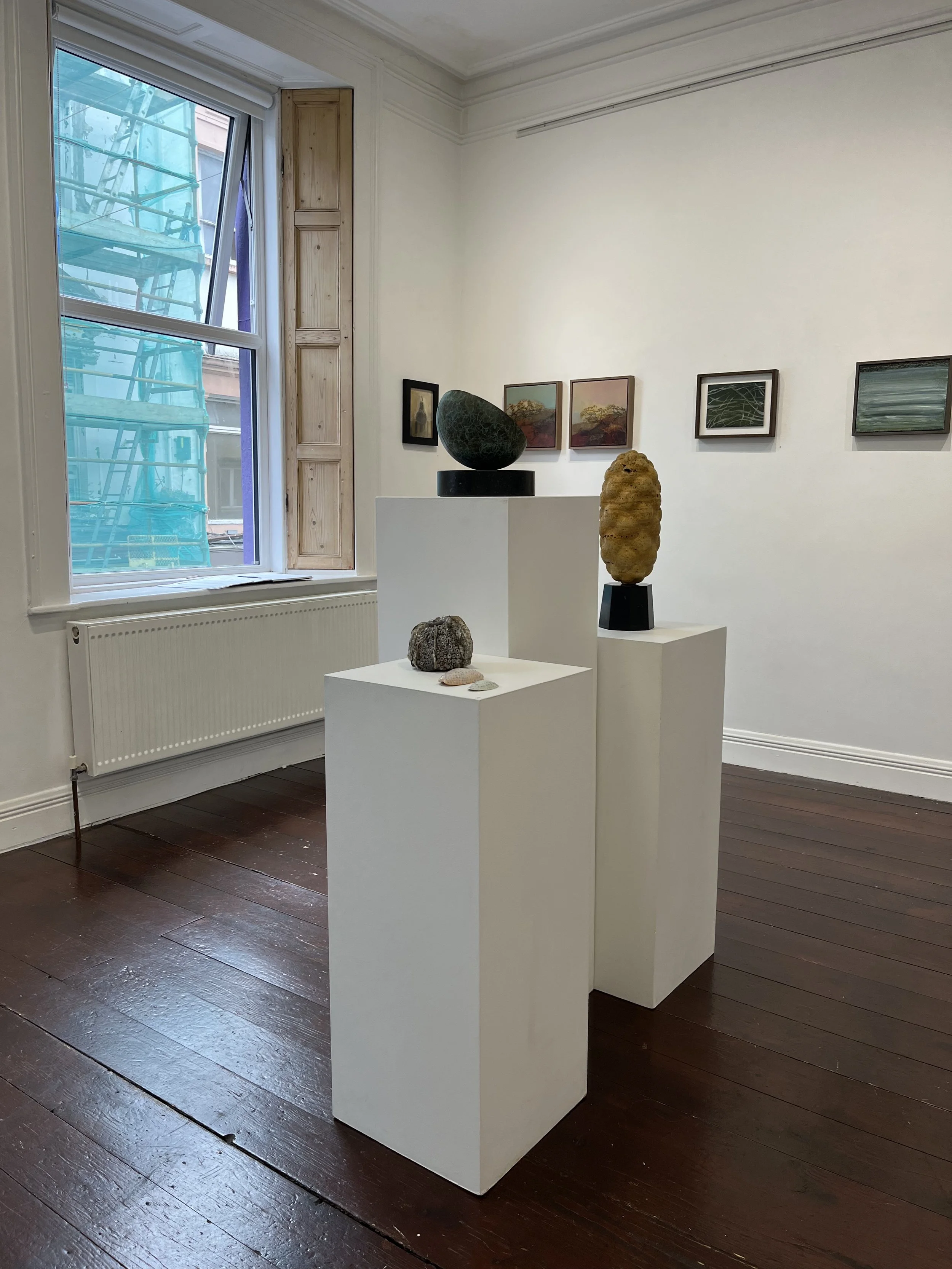 Installation shot, Cuaille mara & Sliogáin mhara at the Hamilton Gallery, Cairde Visual Exhibition 2026 