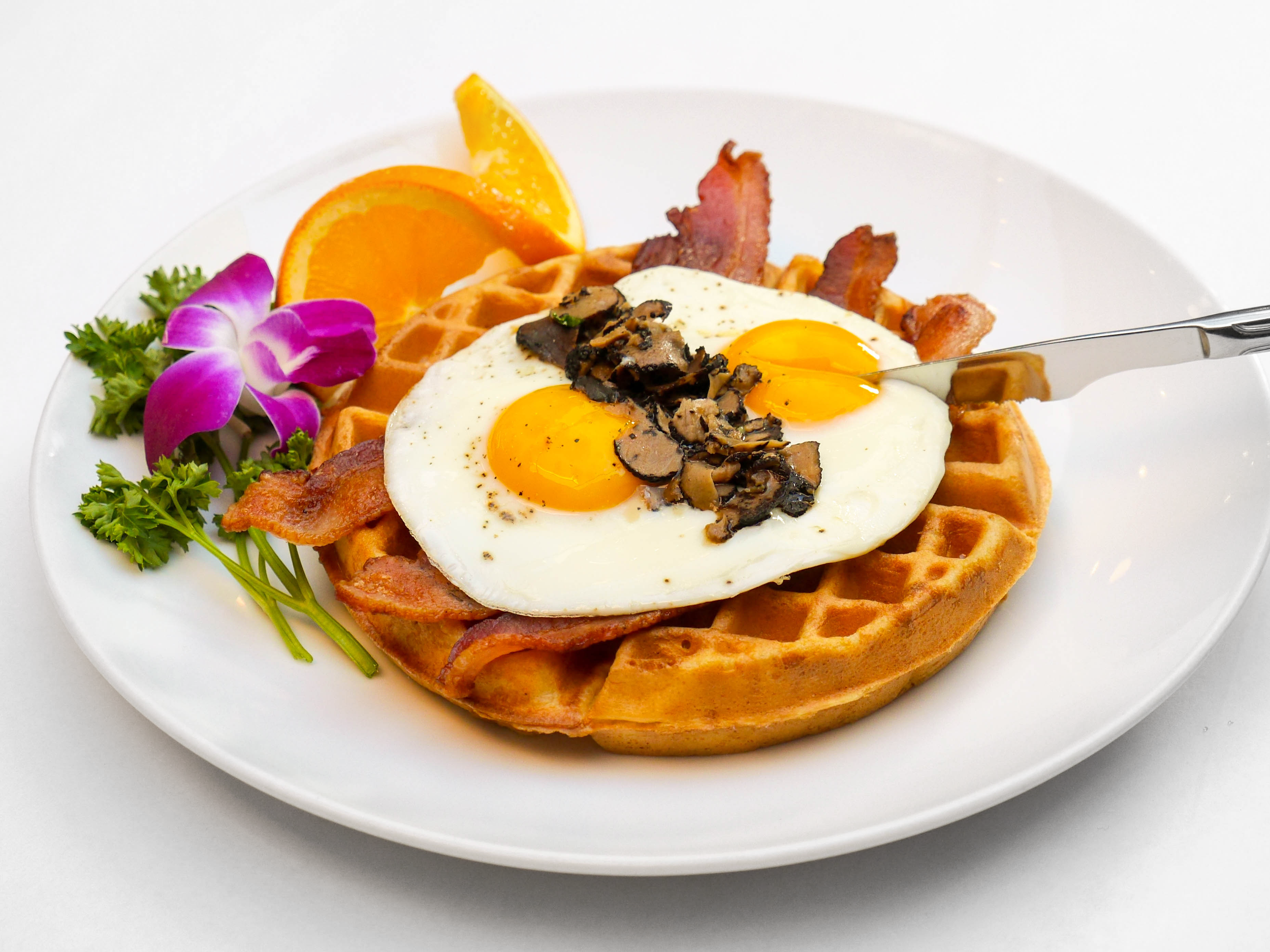 P1130533 copyv1 copy.png