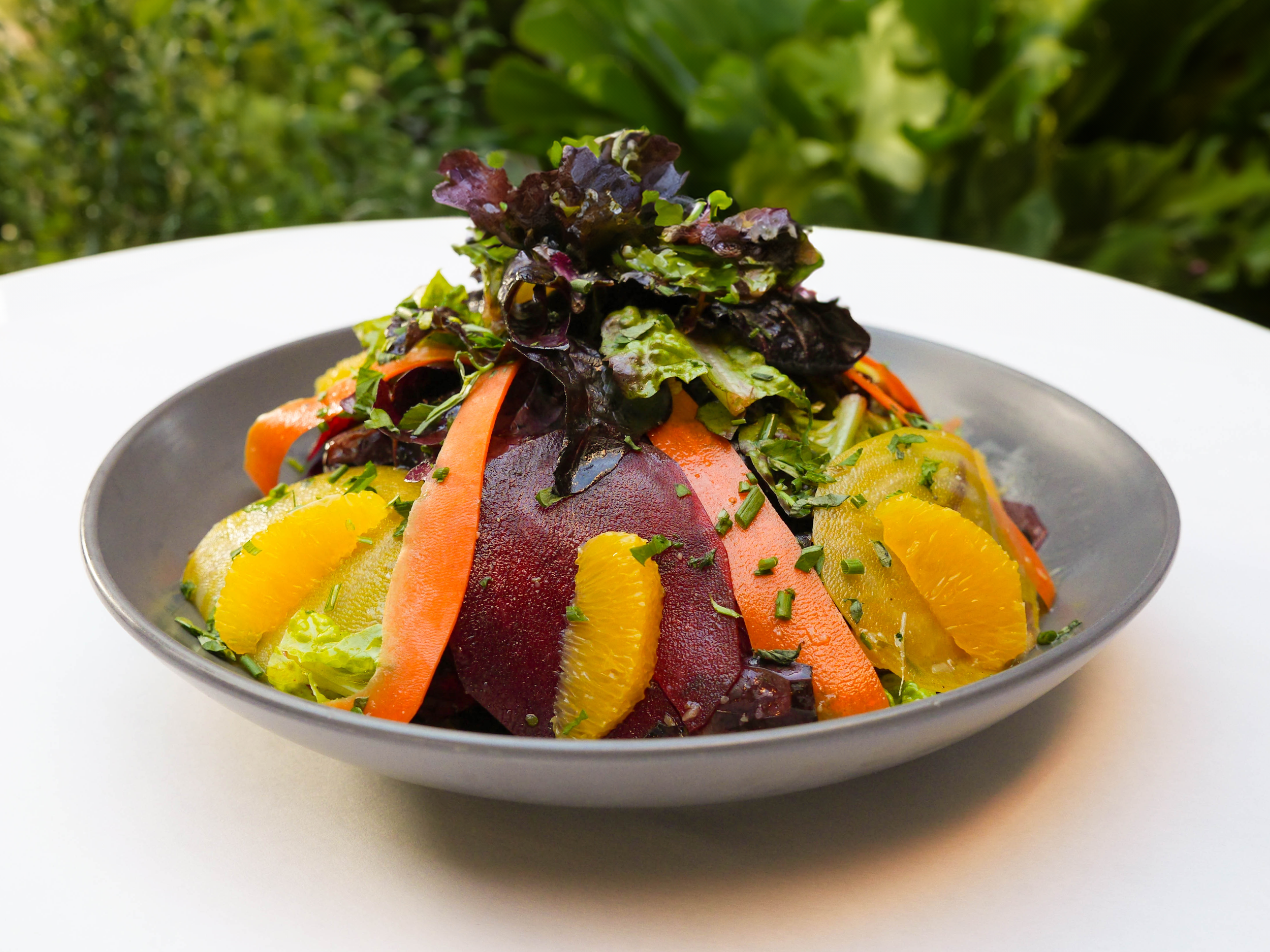 P1130340 copyv1 copy.png