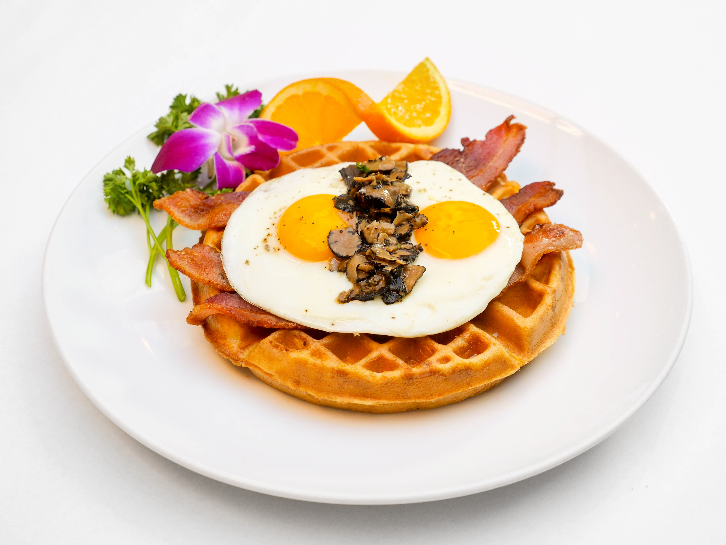 P1130484 copyv1 copy.png