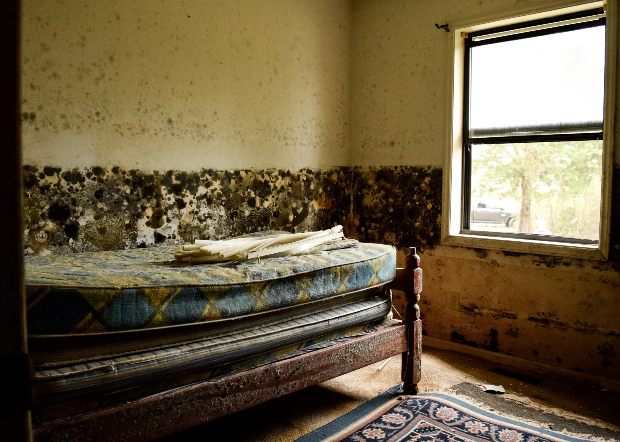 "Bedroom" Pollocksville, NC.  HR Wright, 2018.