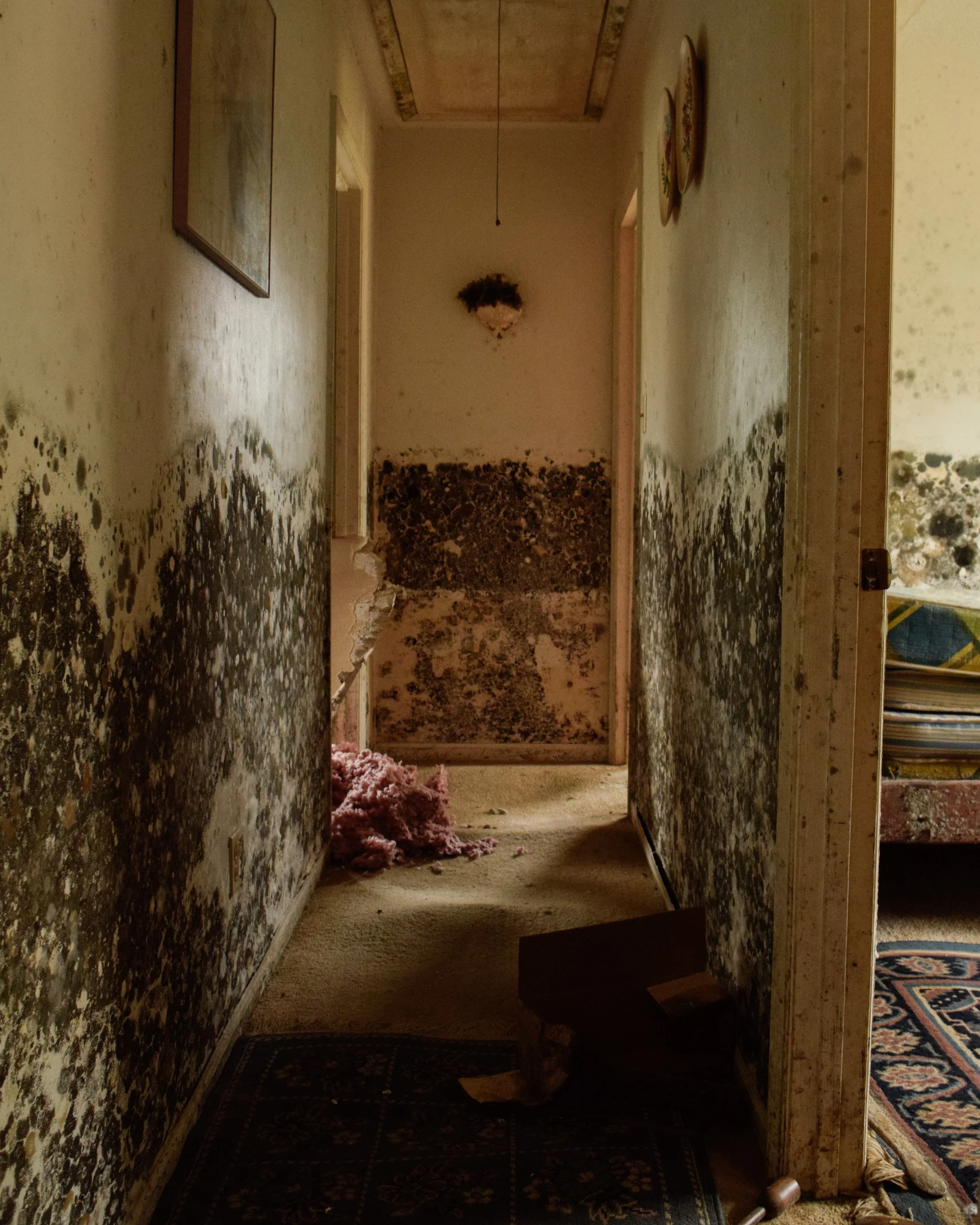 "Hallway" Pollocksville, NC.  HR Wright, 2018.