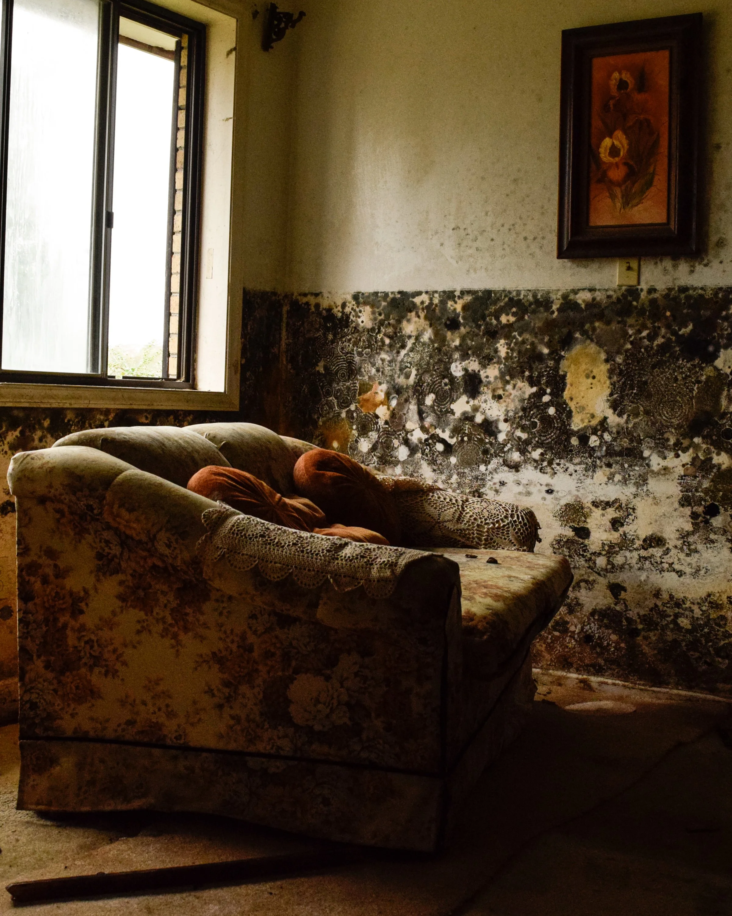 "Loveseat" Pollocksville, NC.  HR Wright, 2018.