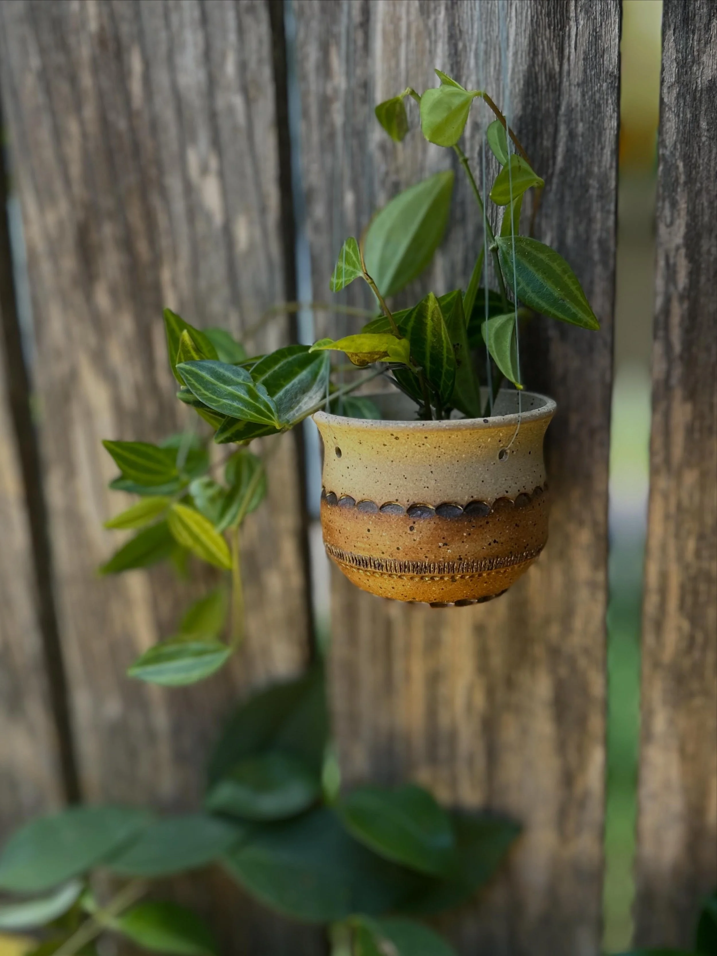 Mini Hanging Planter.  Hung with strong fishing line to give the allusion of floating in your window. 2-2.5" in size.