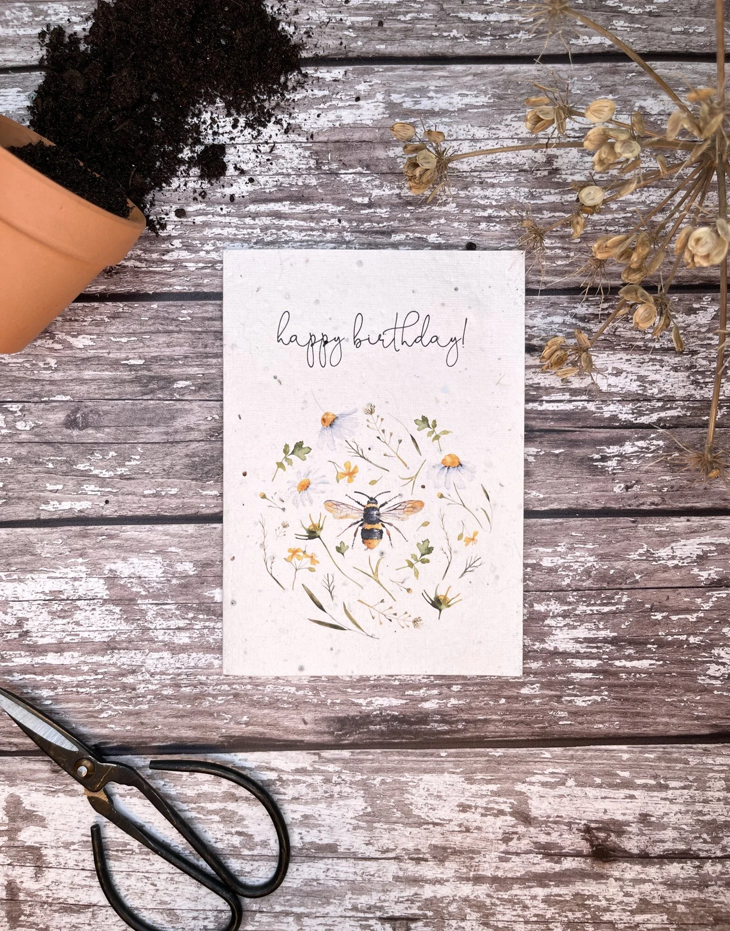 EXCLUSIVE bee & flower birthday seed card FOJexclus2 1.JPG