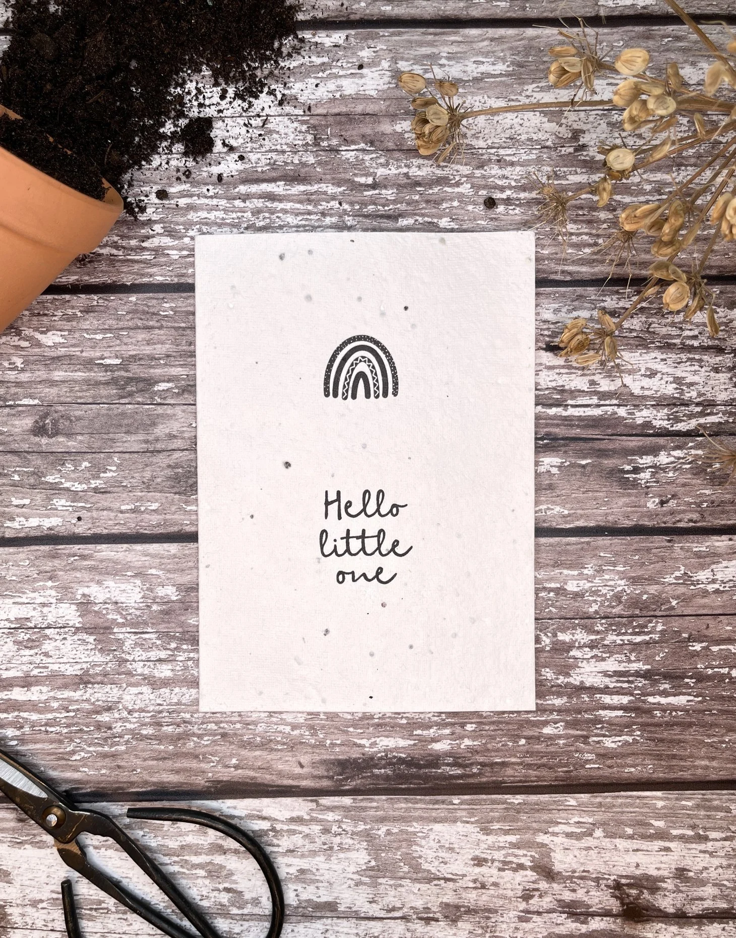 New baby plantable seed card A666s 1.JPG